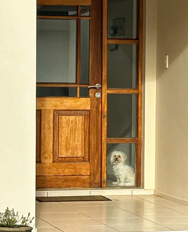 Stay inside