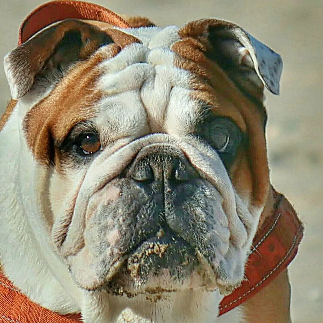 Entry 14991695