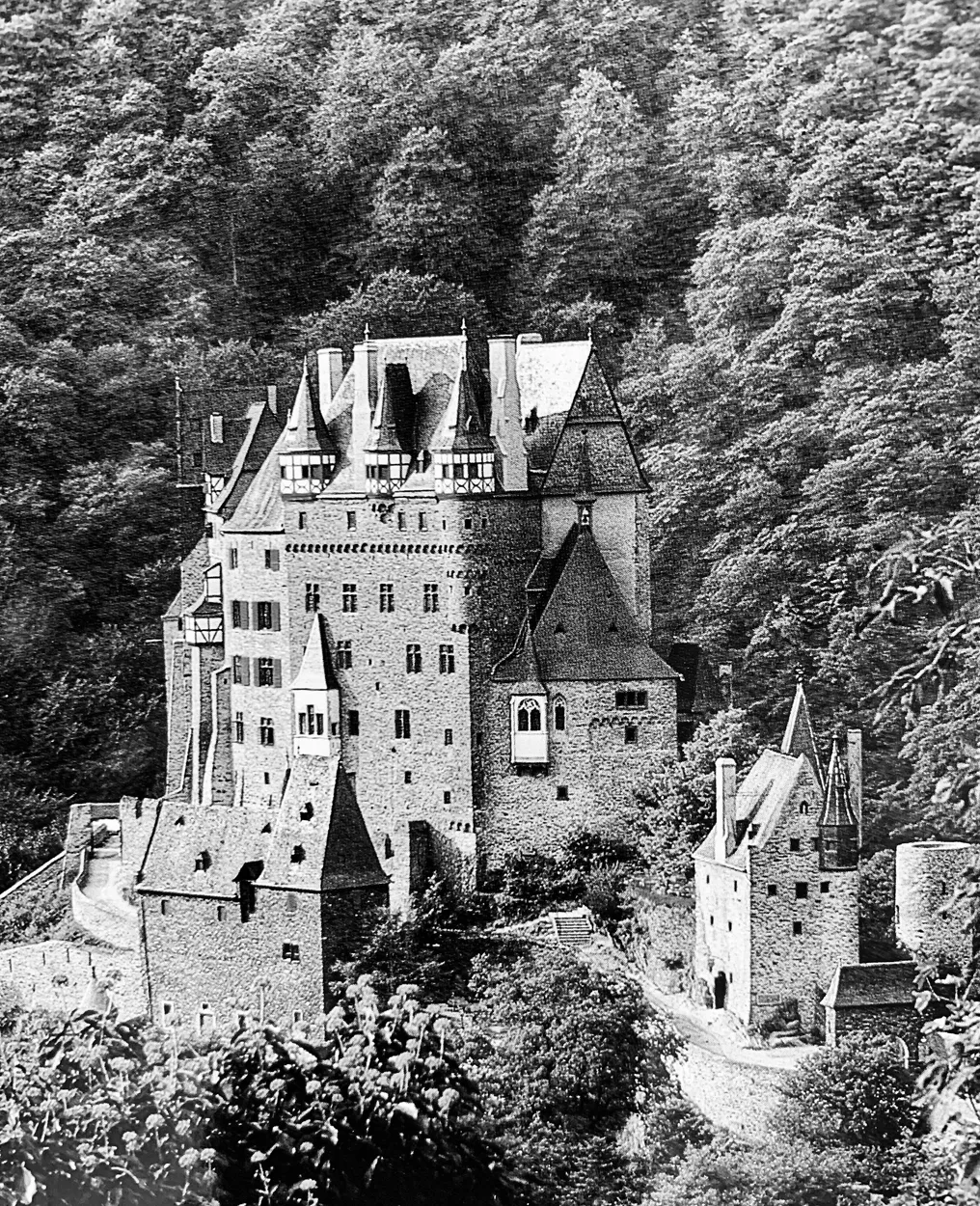Entry 16751425