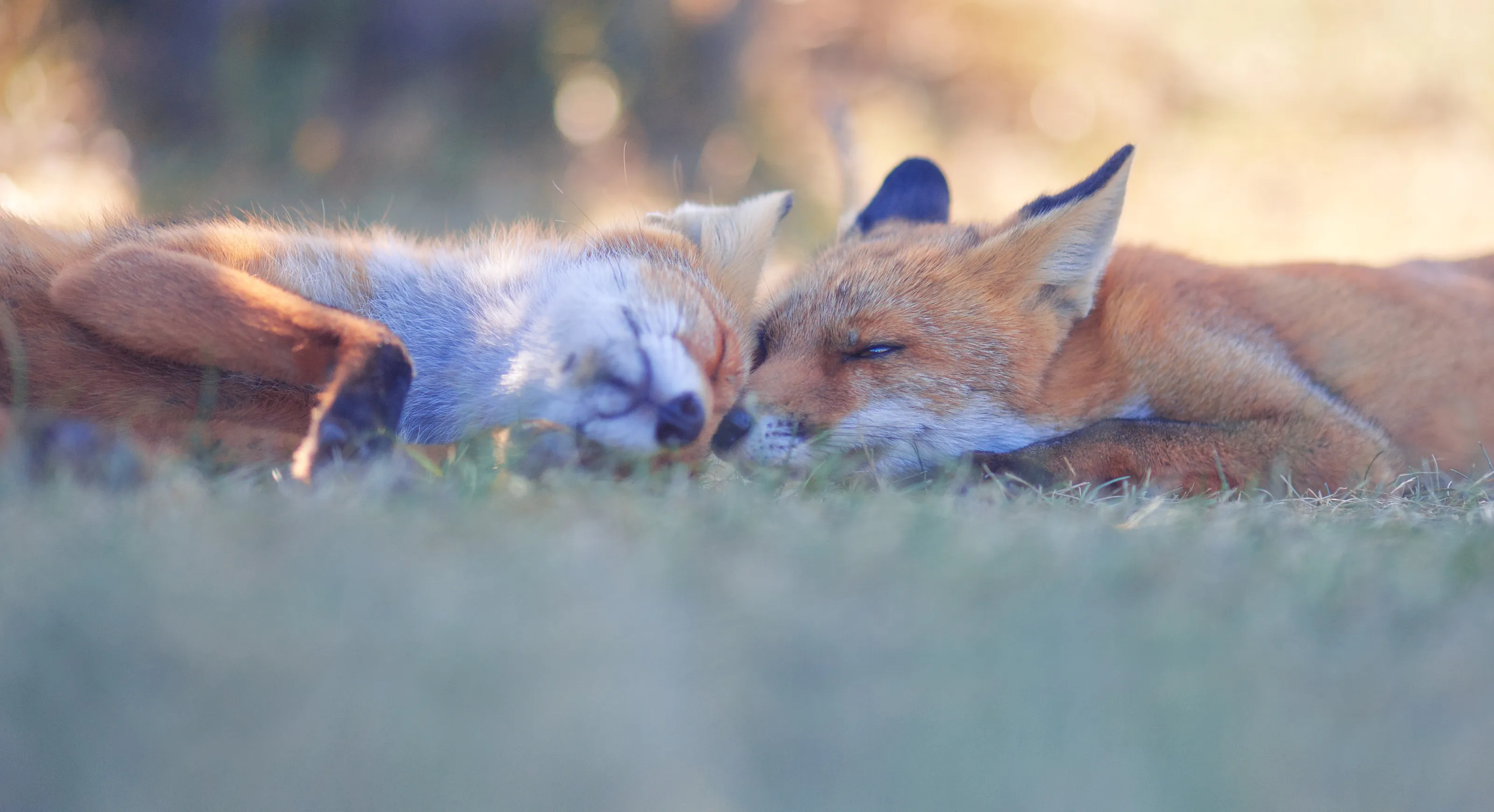 Time together ⏱️