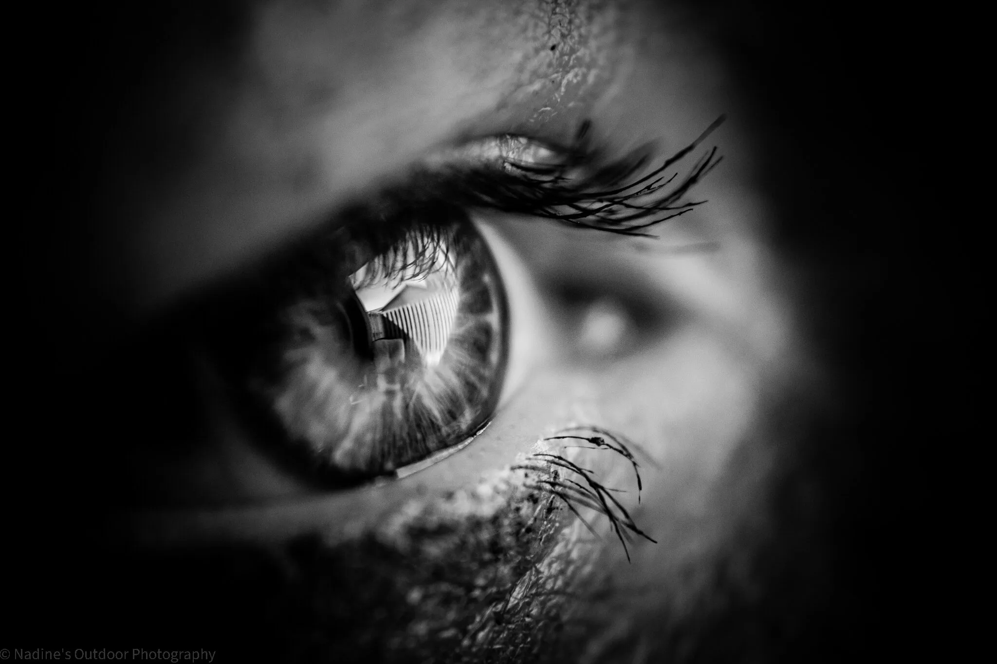 see through the eye