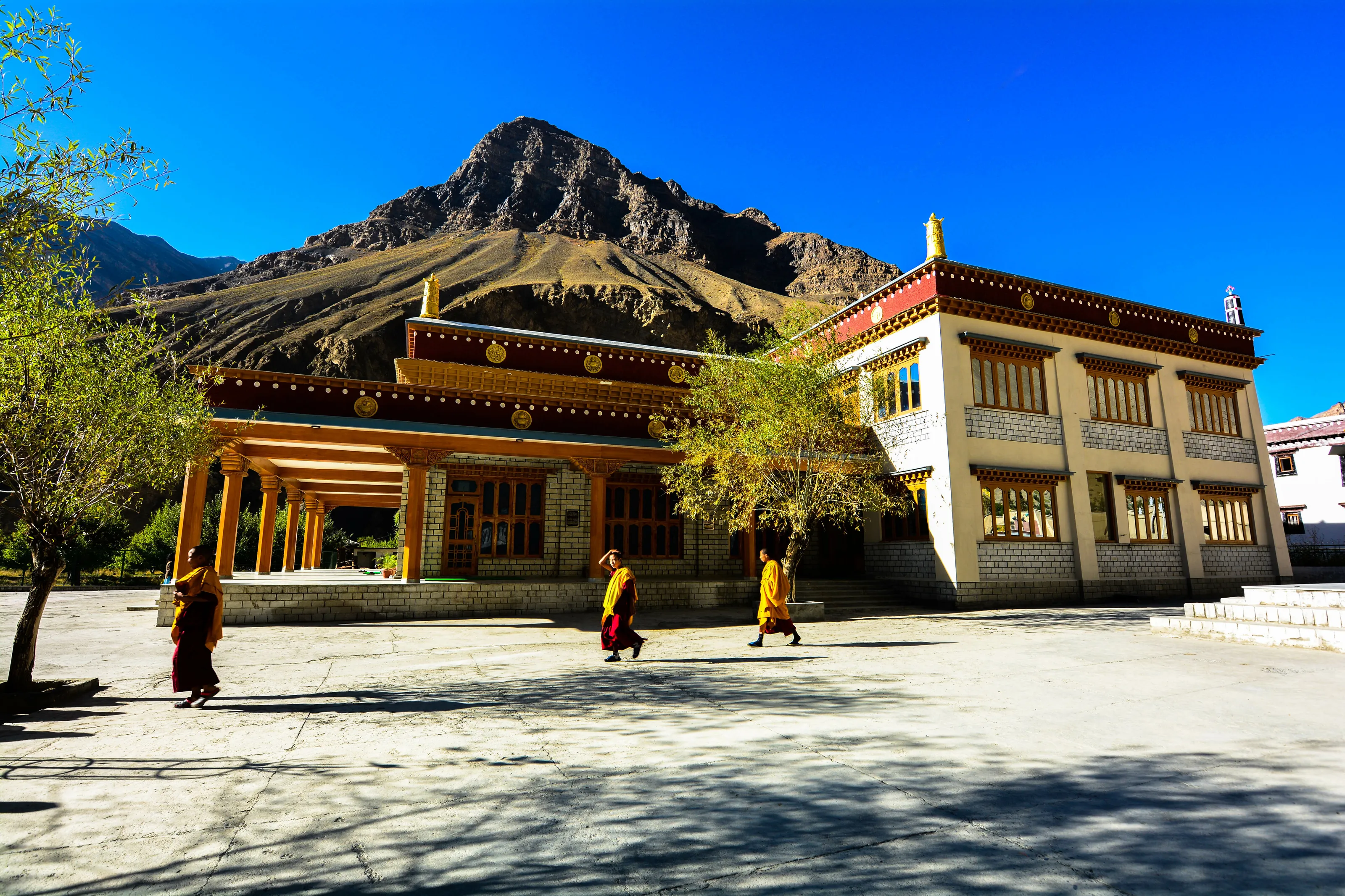 Treasure of the Himalayas