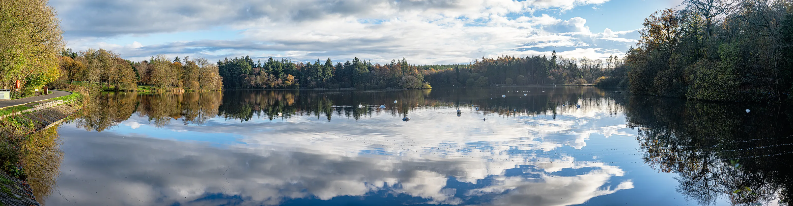 Hillsborough Lake