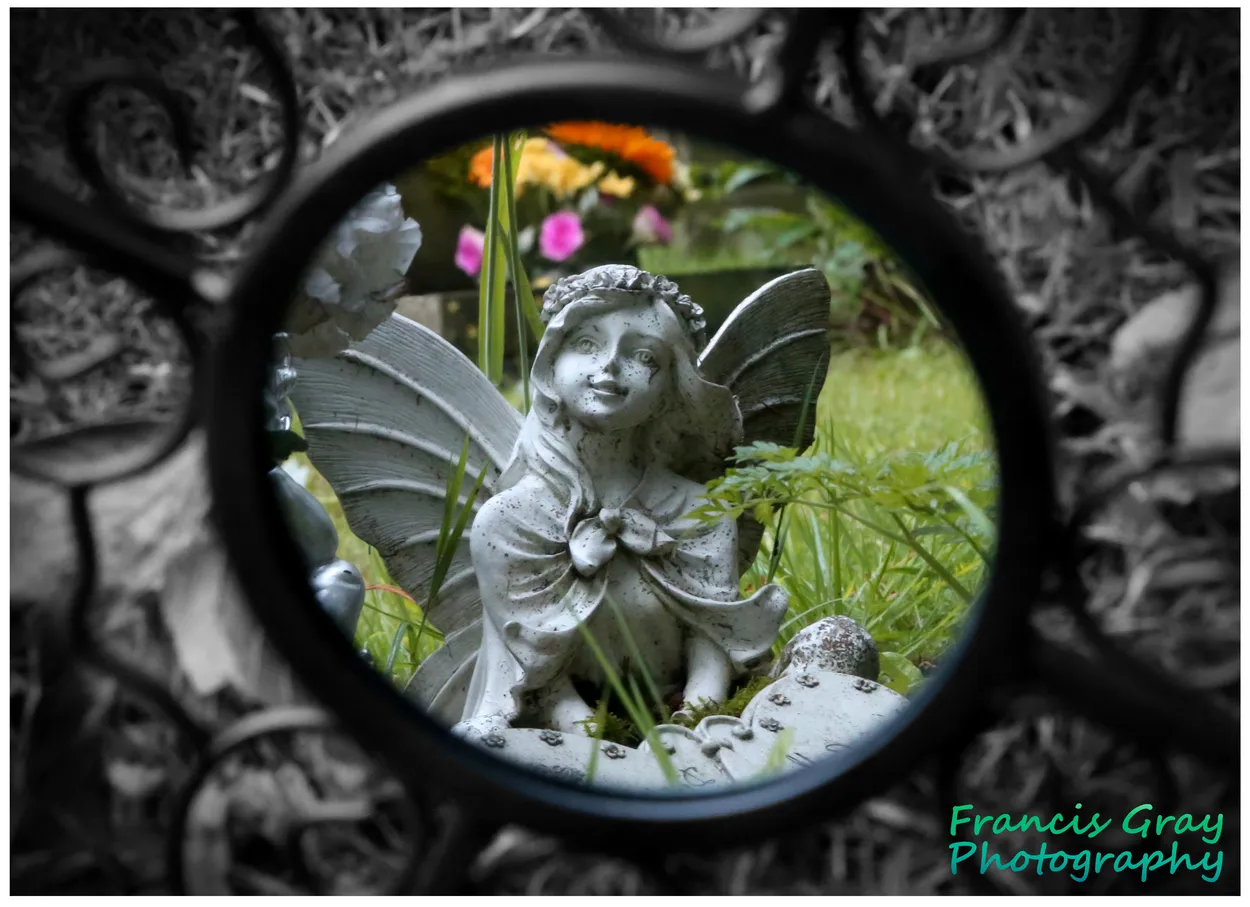 Entry 24014215