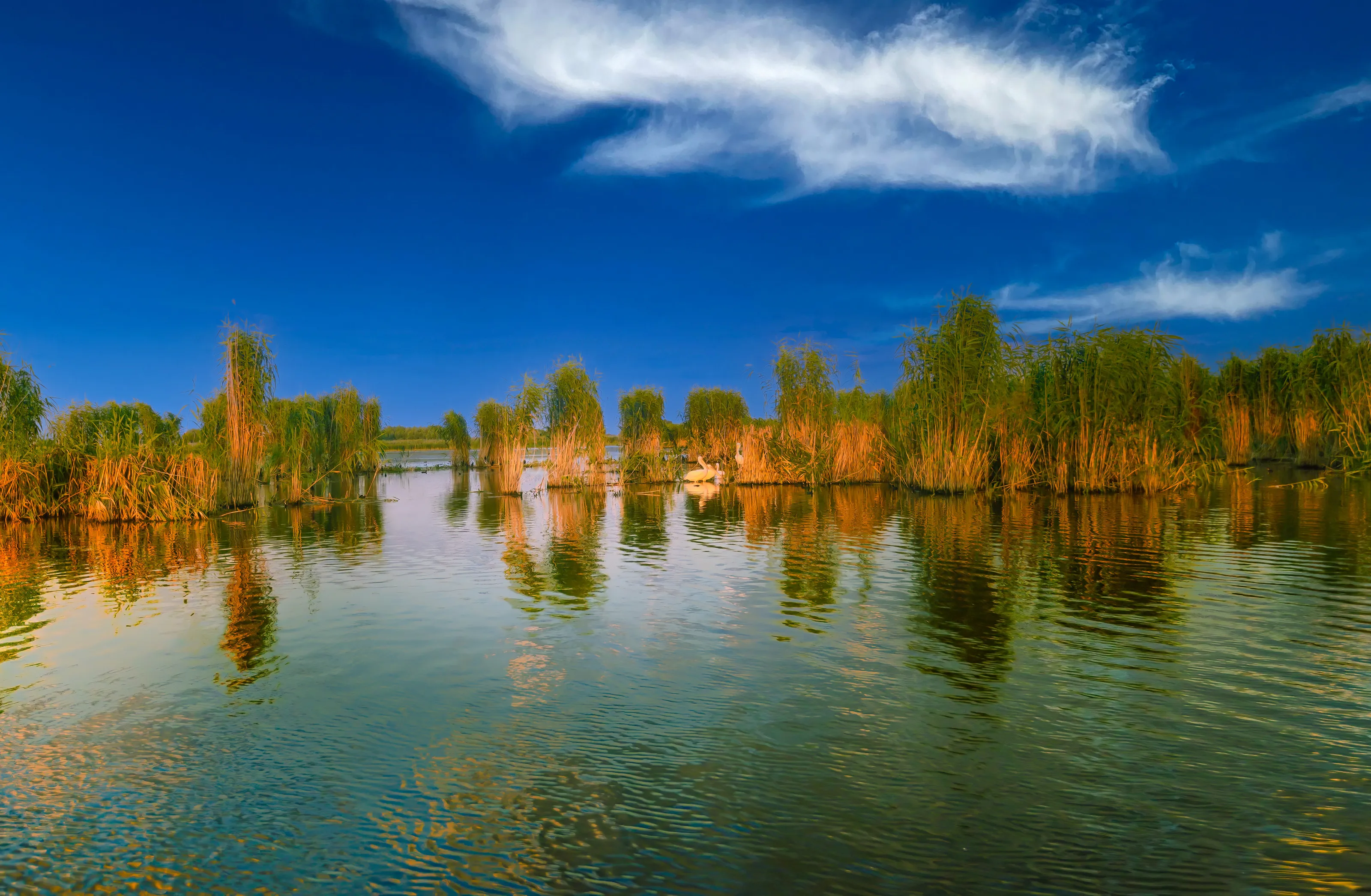 The Danube Delta