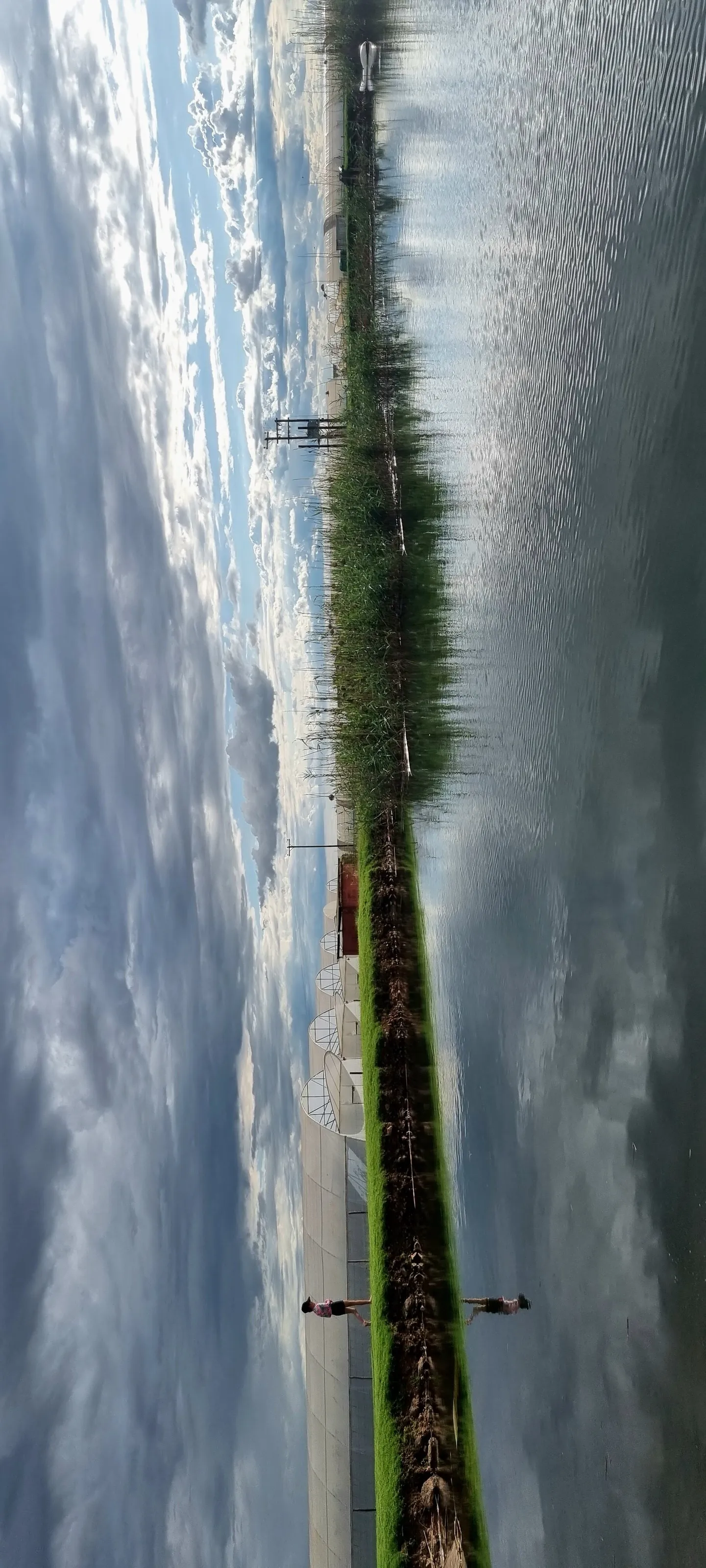 Natural landscape