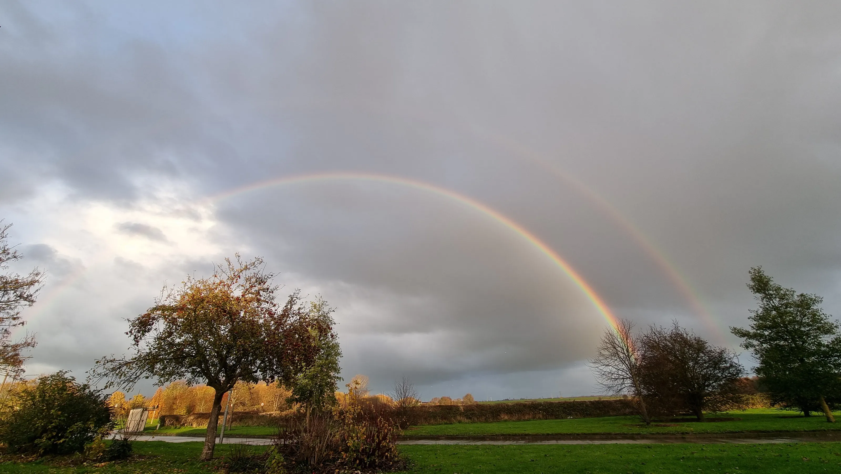 Rainbow
