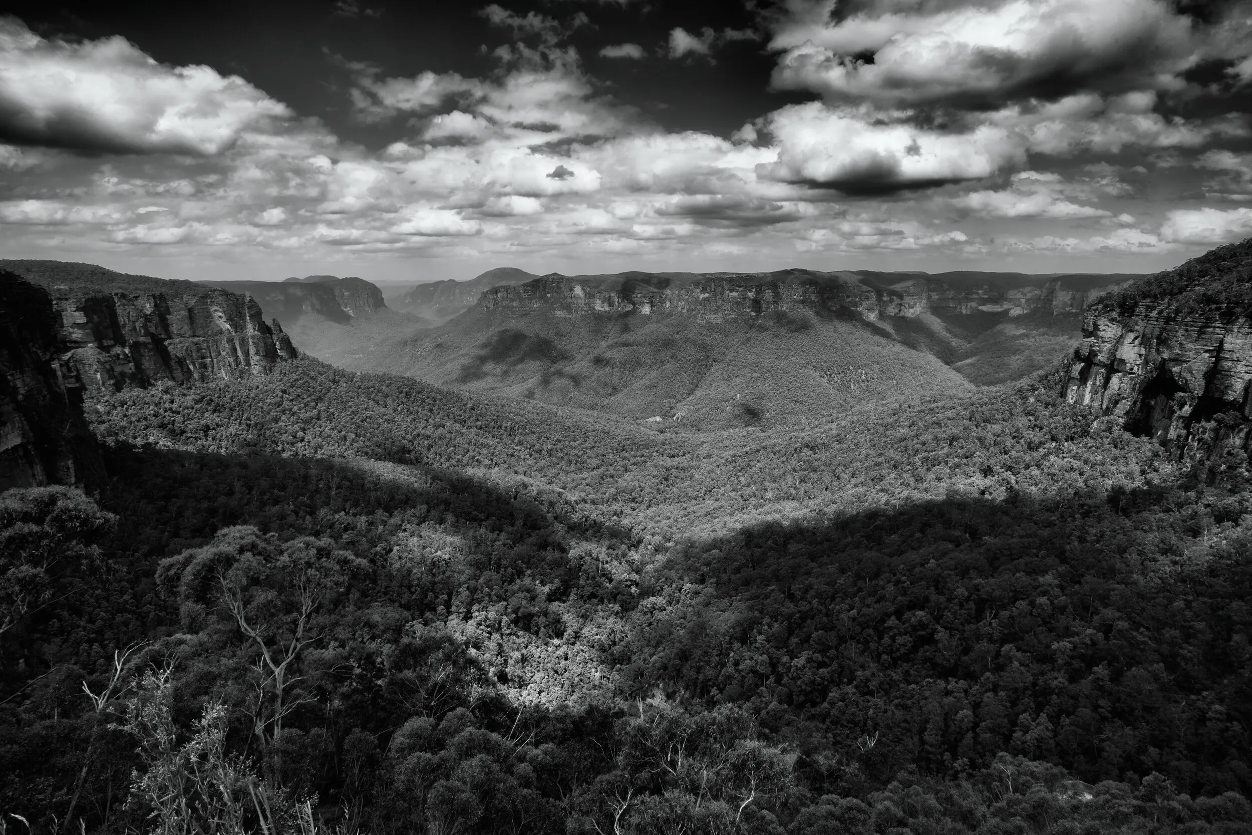 Blue Mountains