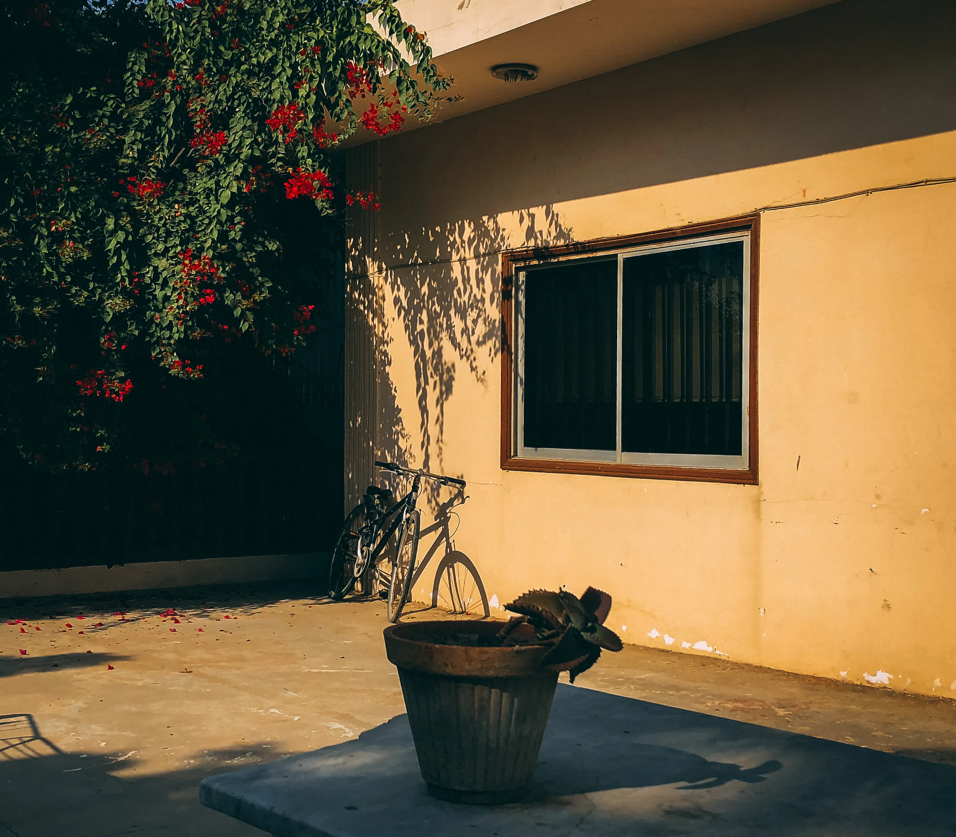 Playing with shadows.