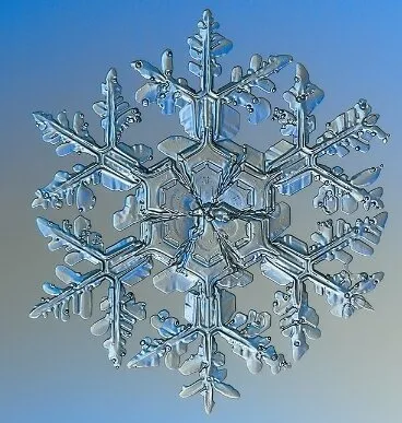 Snowflake