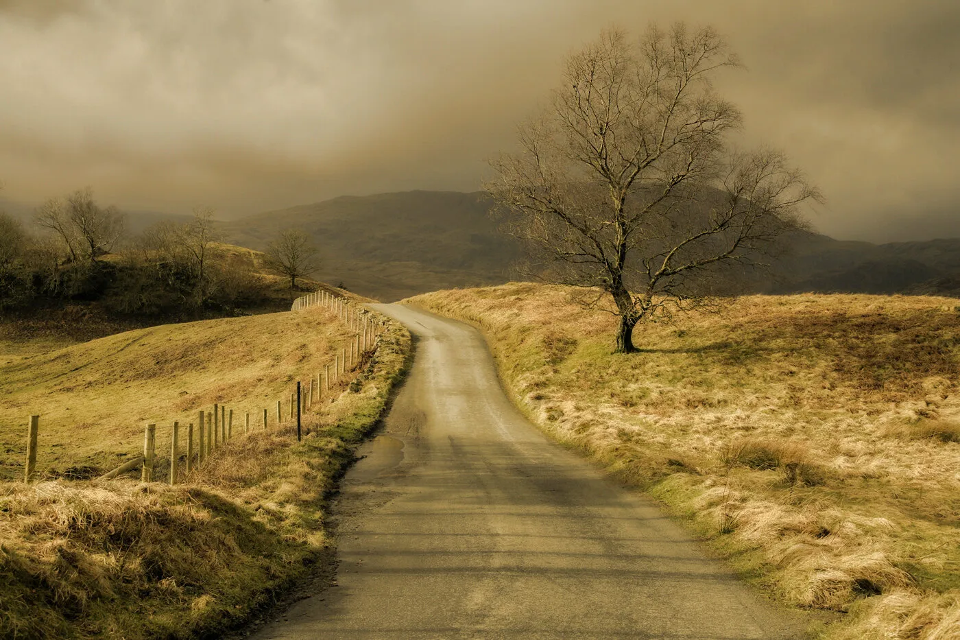 Road to the Valley
