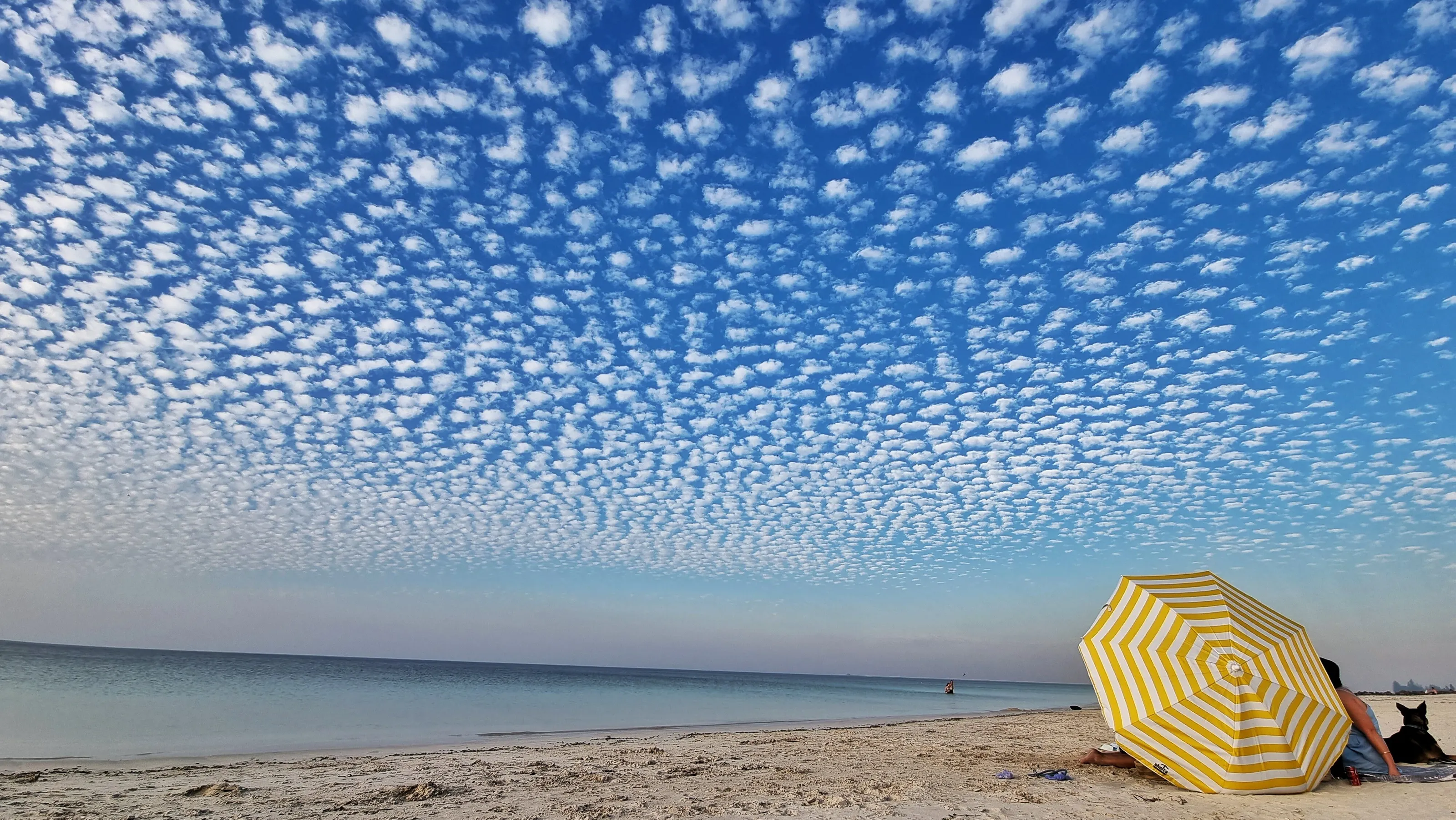 Cirro Sky