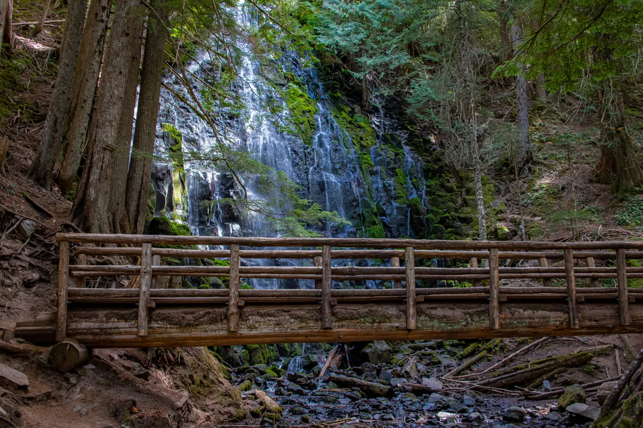 Entry 15056820