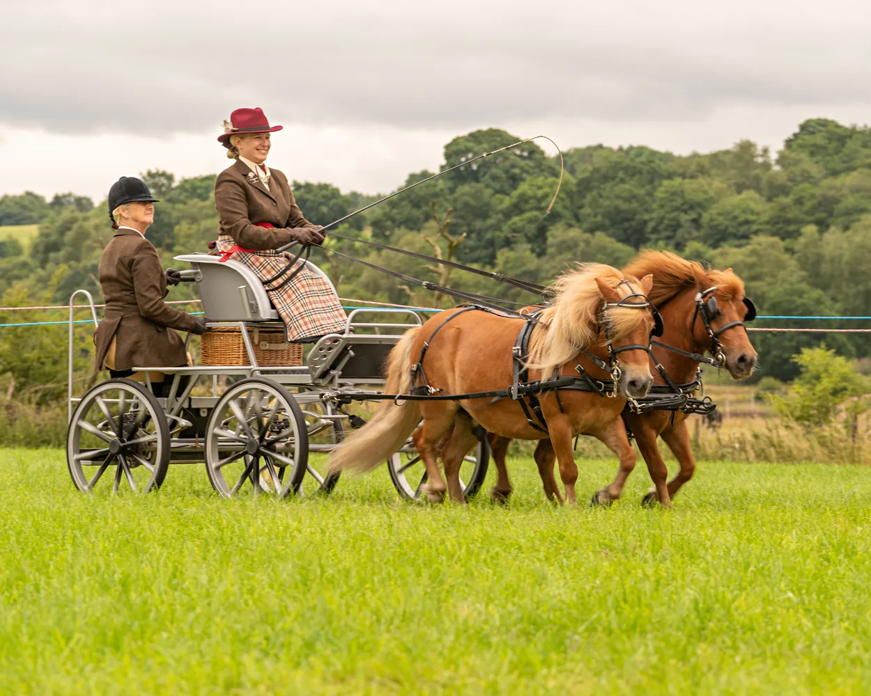 Entry 15063742