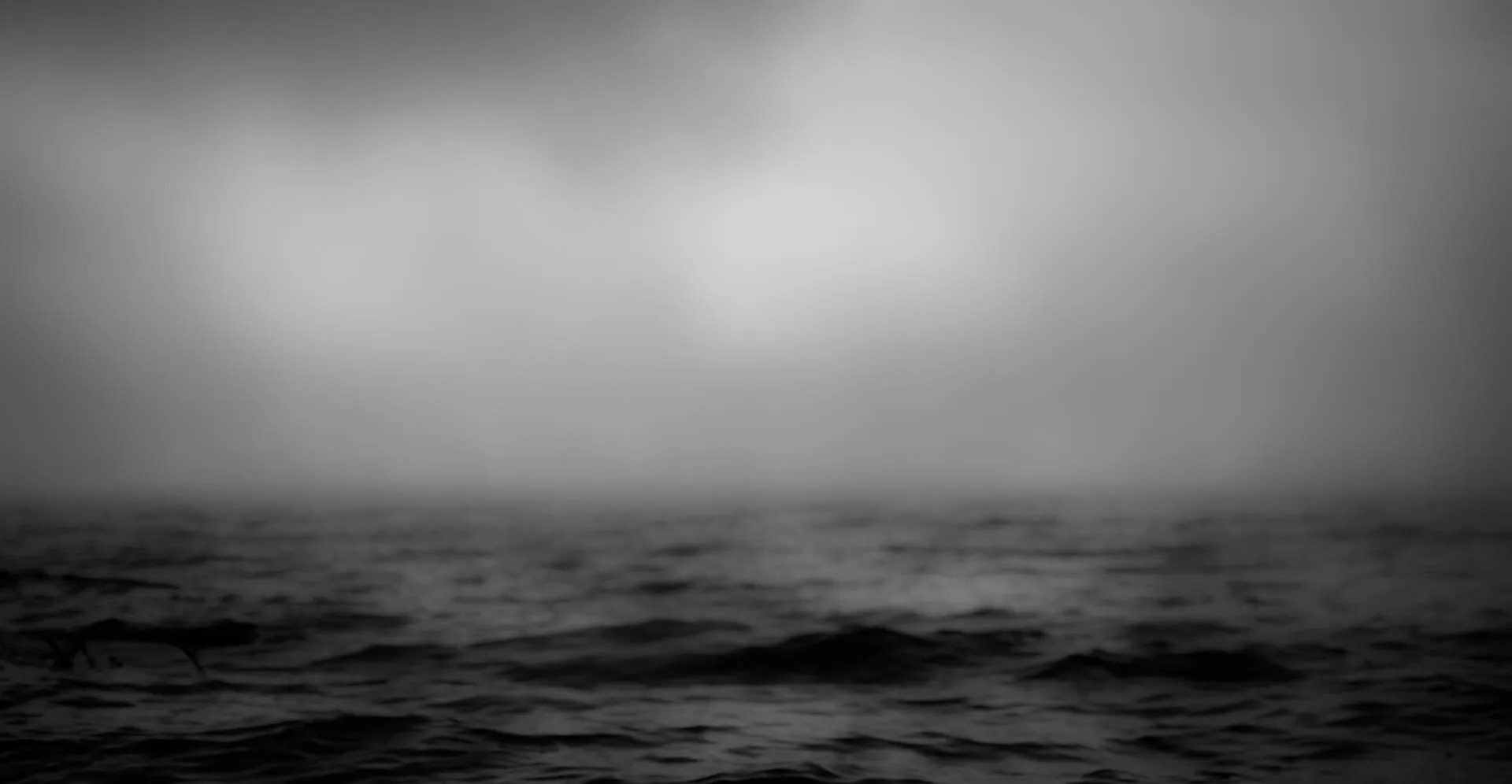 misty morning