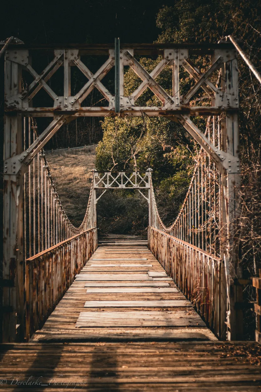 Entry 15066009