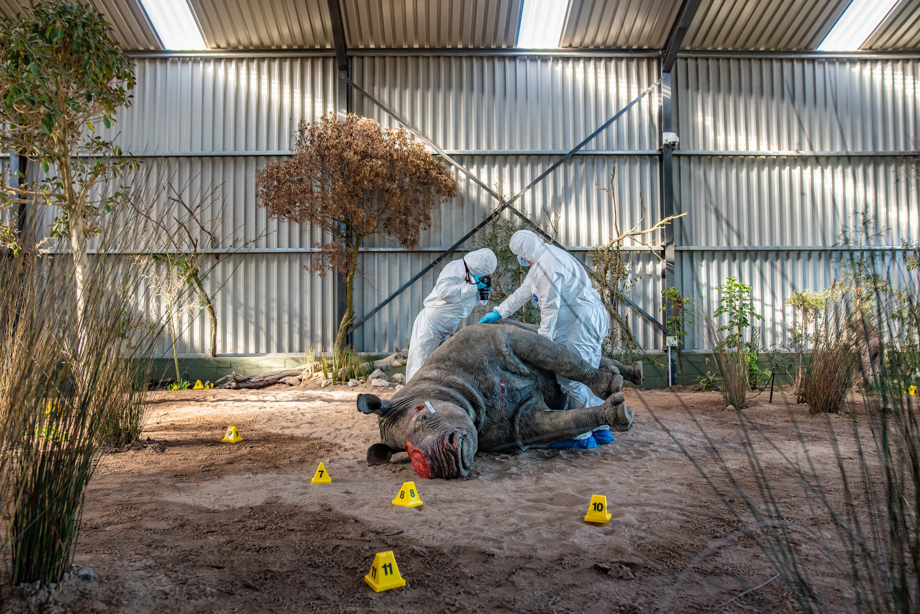 Wildlife CSI Academy