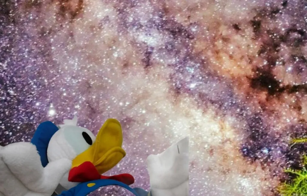 Banner image