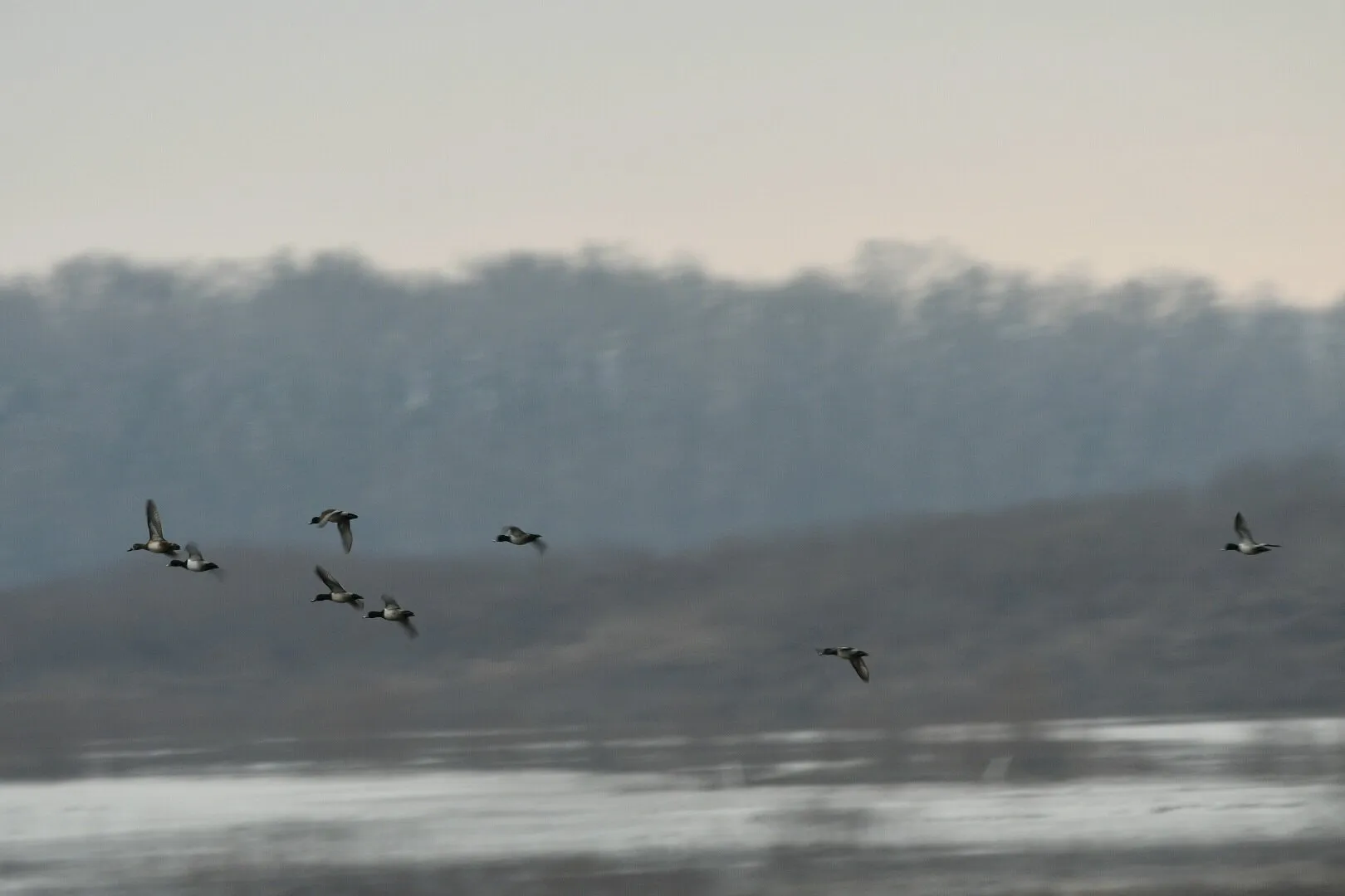 Coming in for a landing