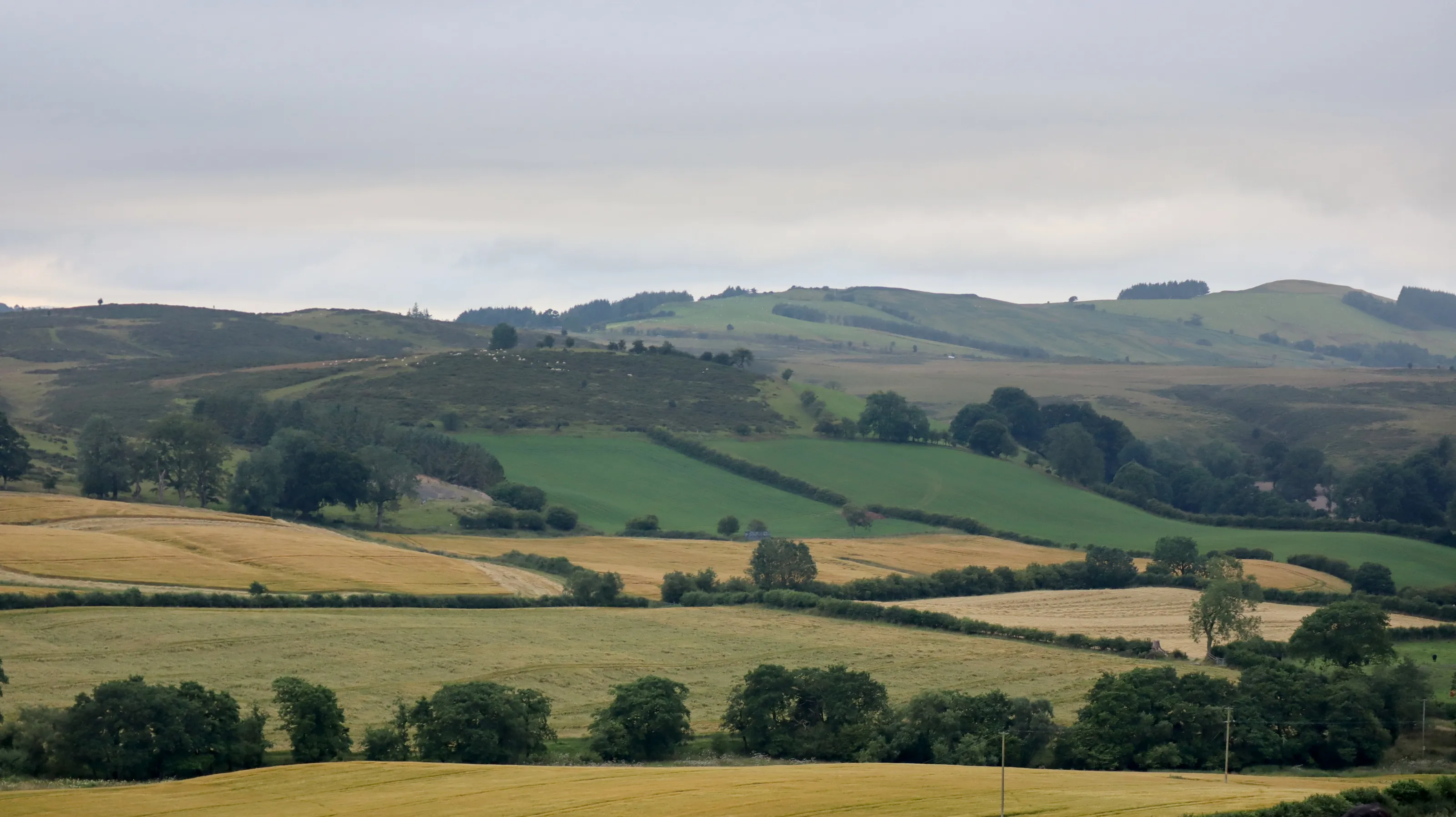 Llanbister Landscape
