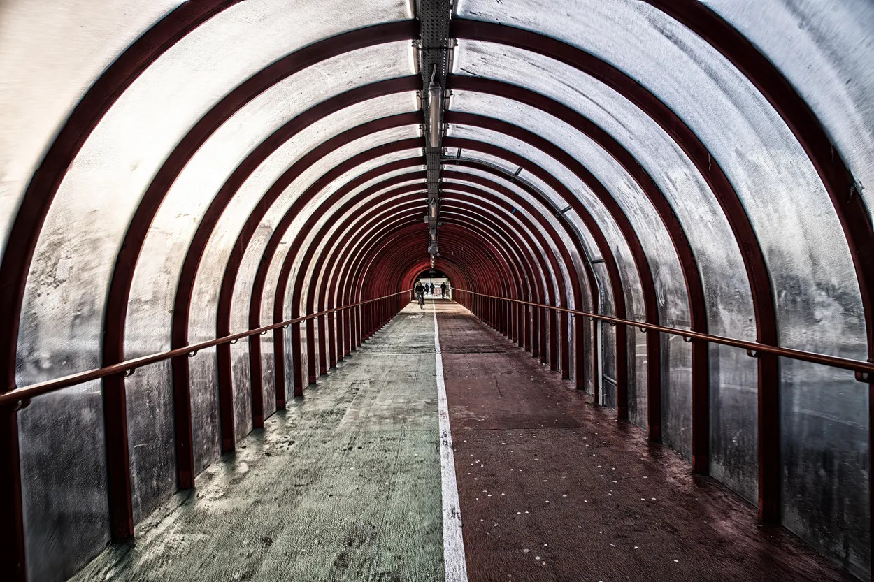 Entry 18686208