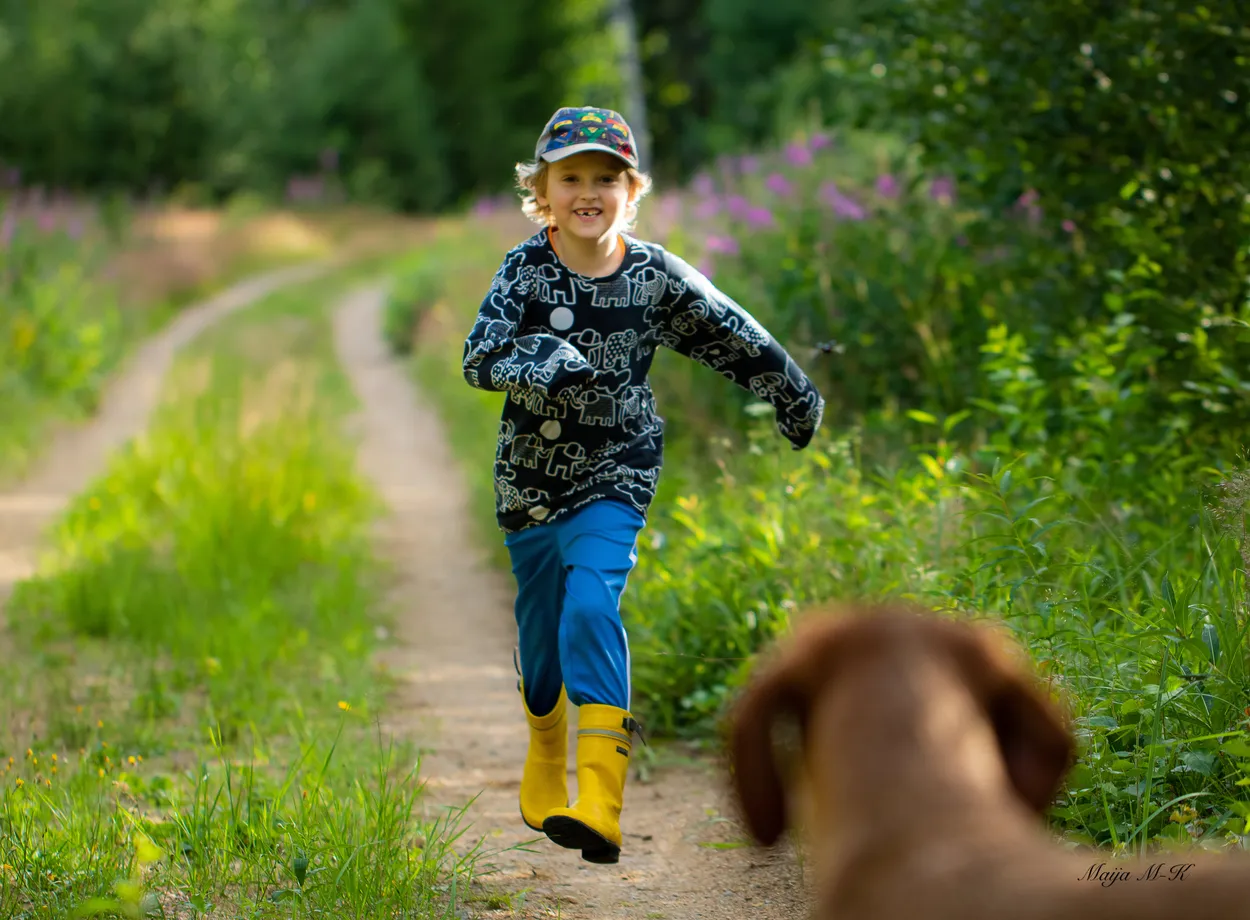 Entry 16025477