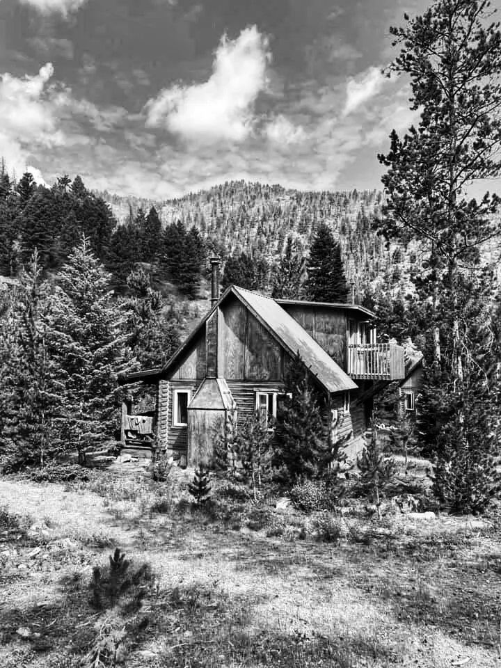 Entry 16169133