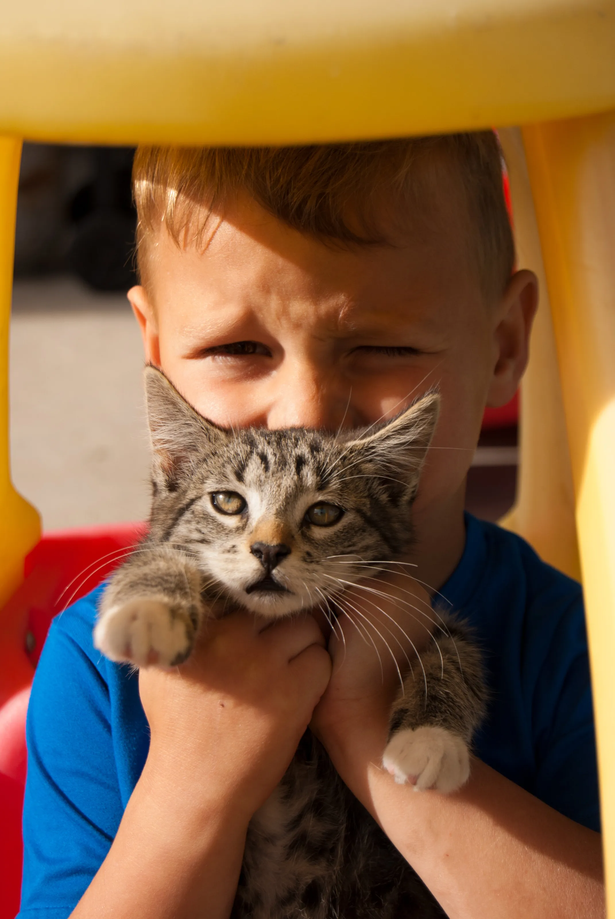 Playing with a kitten