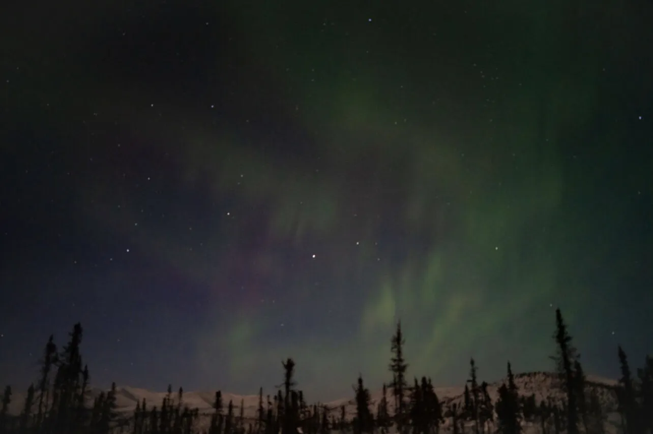 Aurora Nights