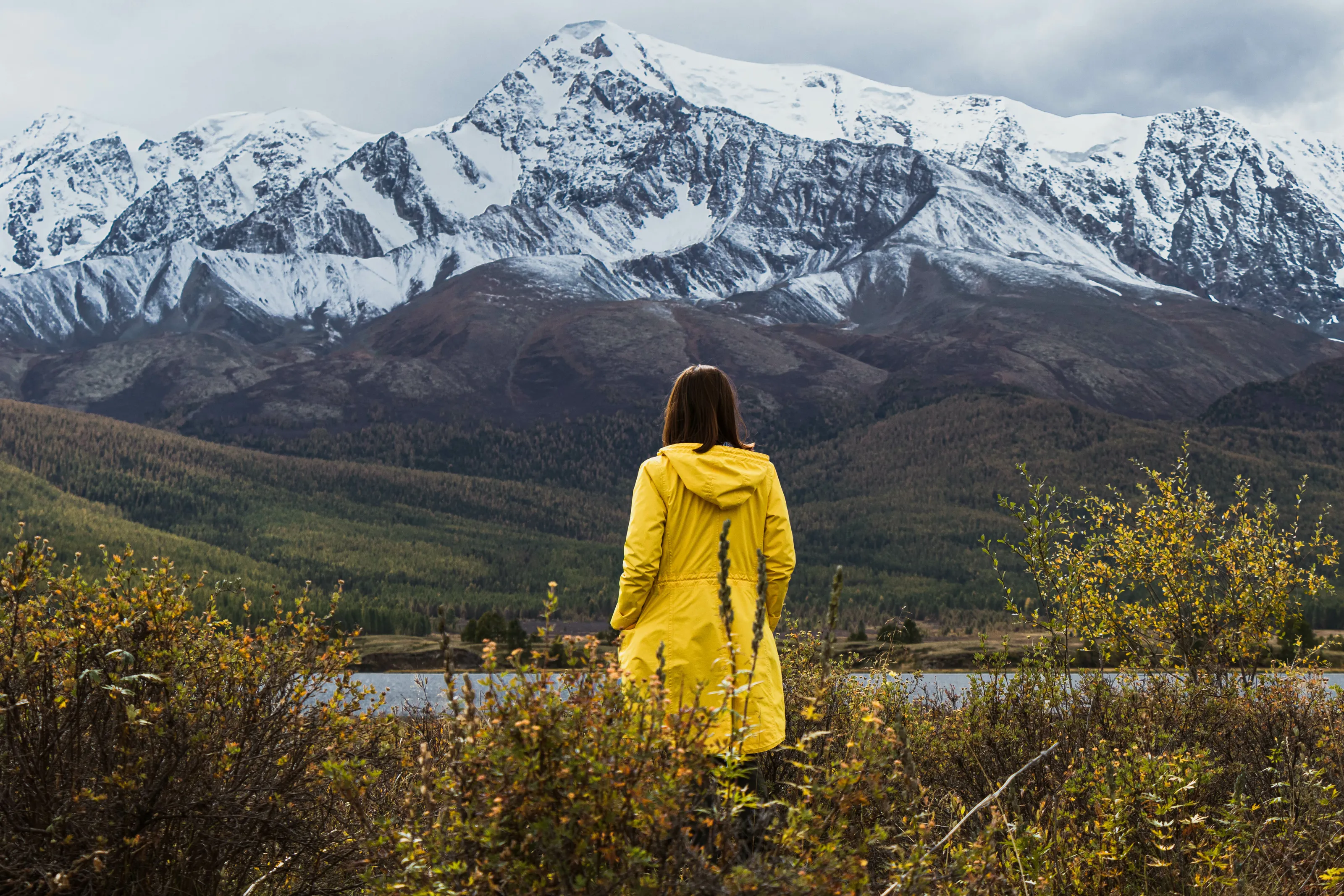 Altai mountains dream