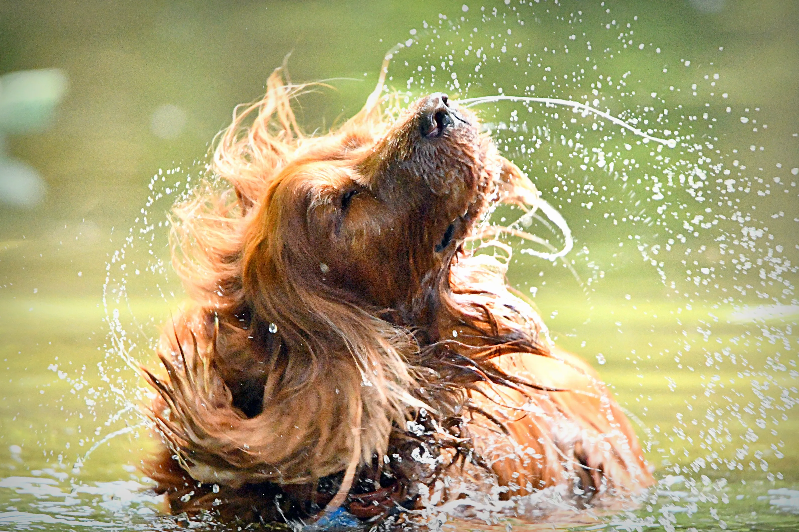 Because I'm Worth it!