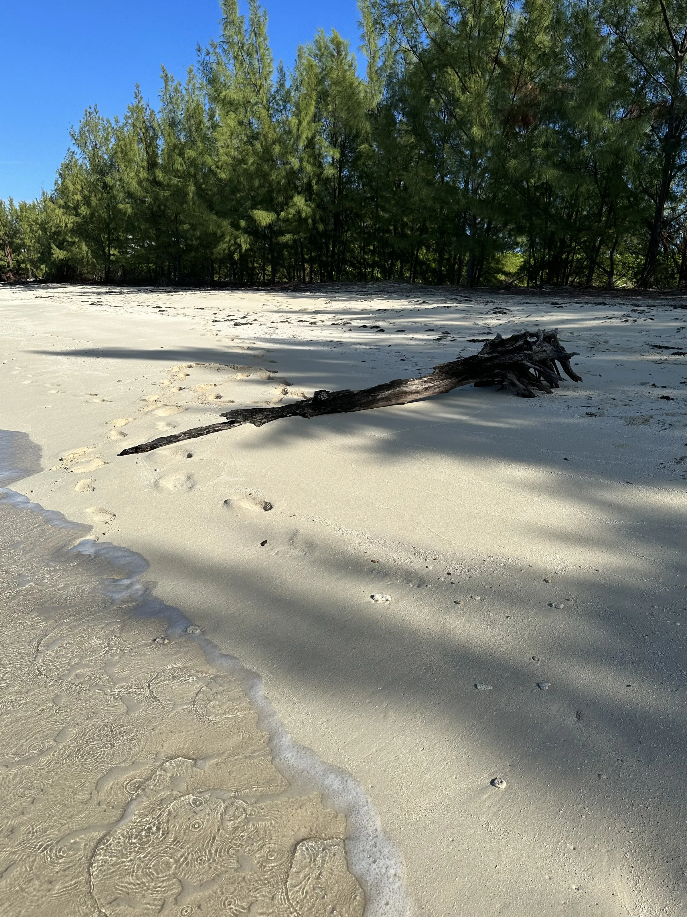 Log isolation