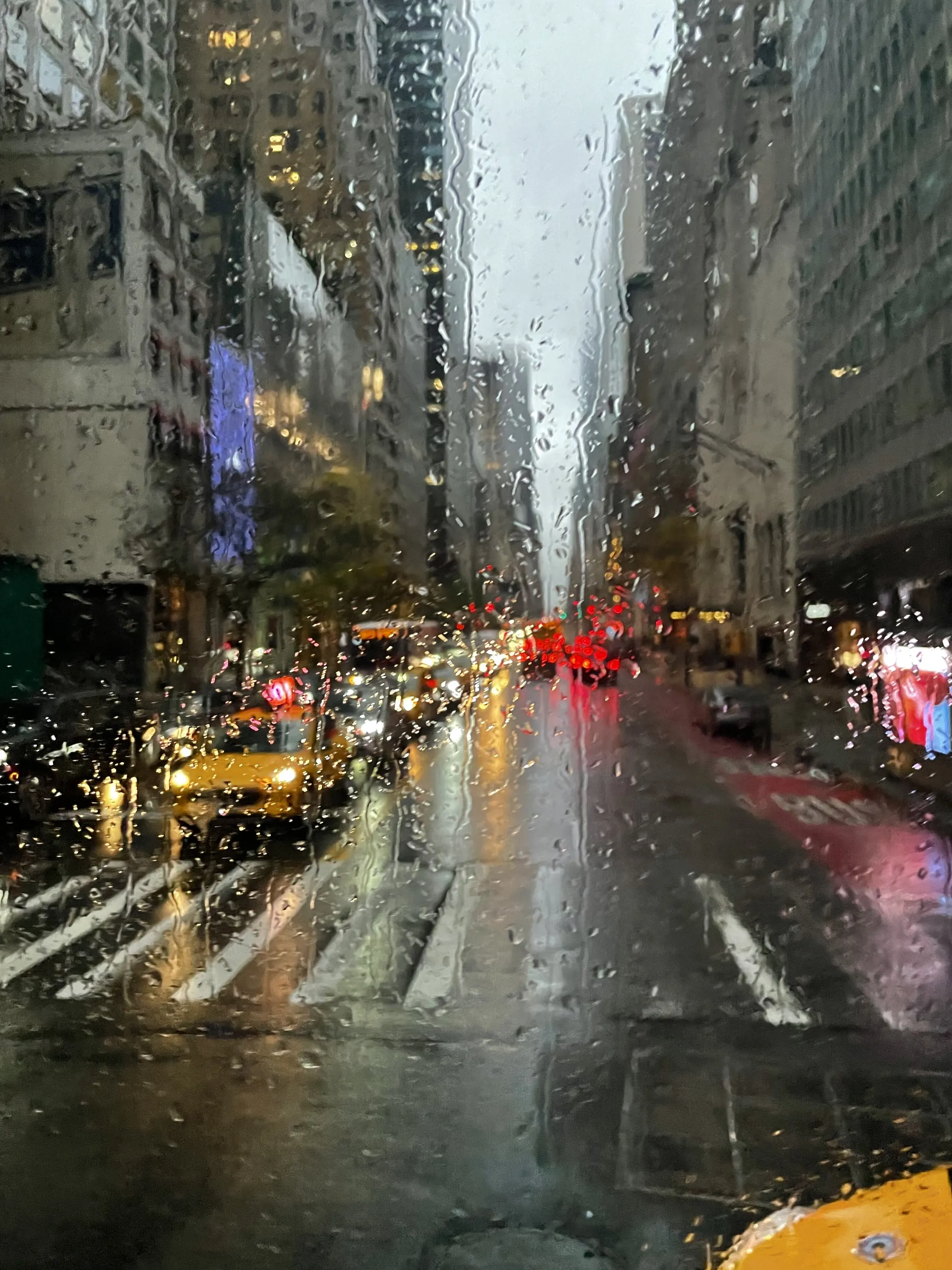 City lights