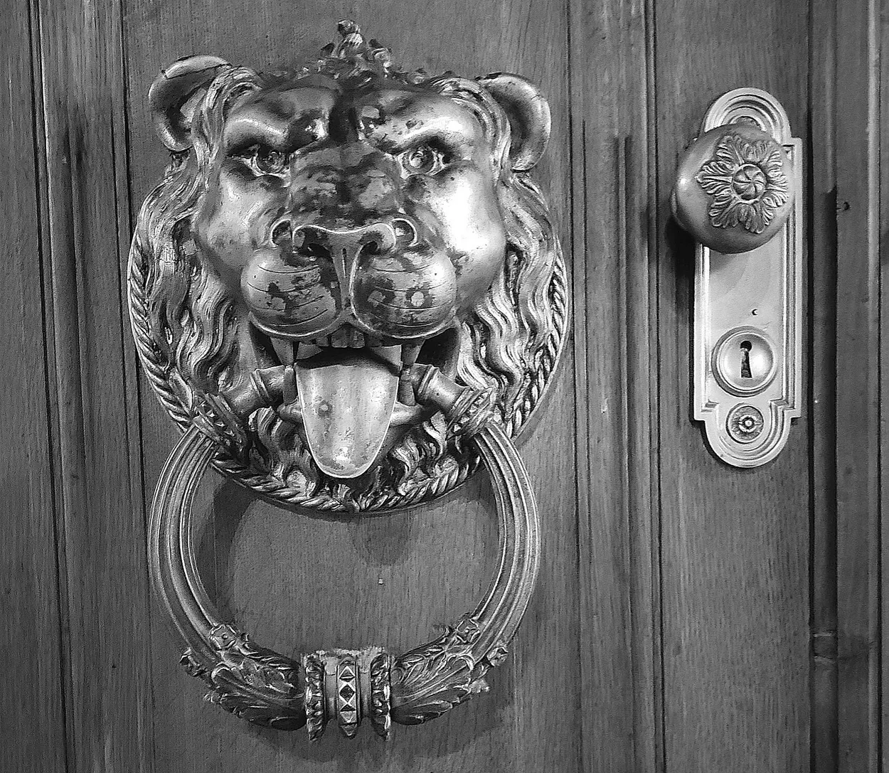Entry 19116818