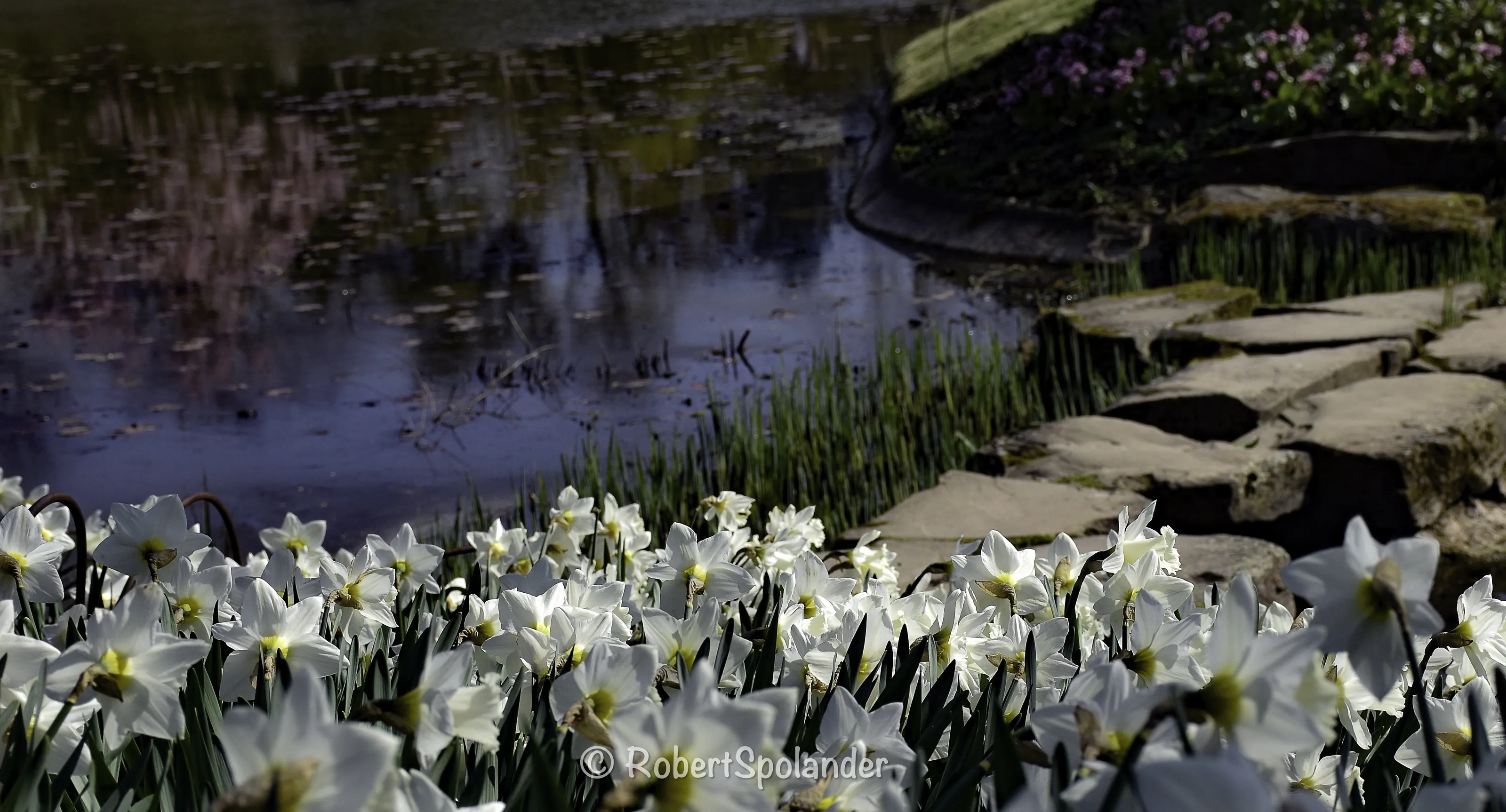 Cliveden by water and rock