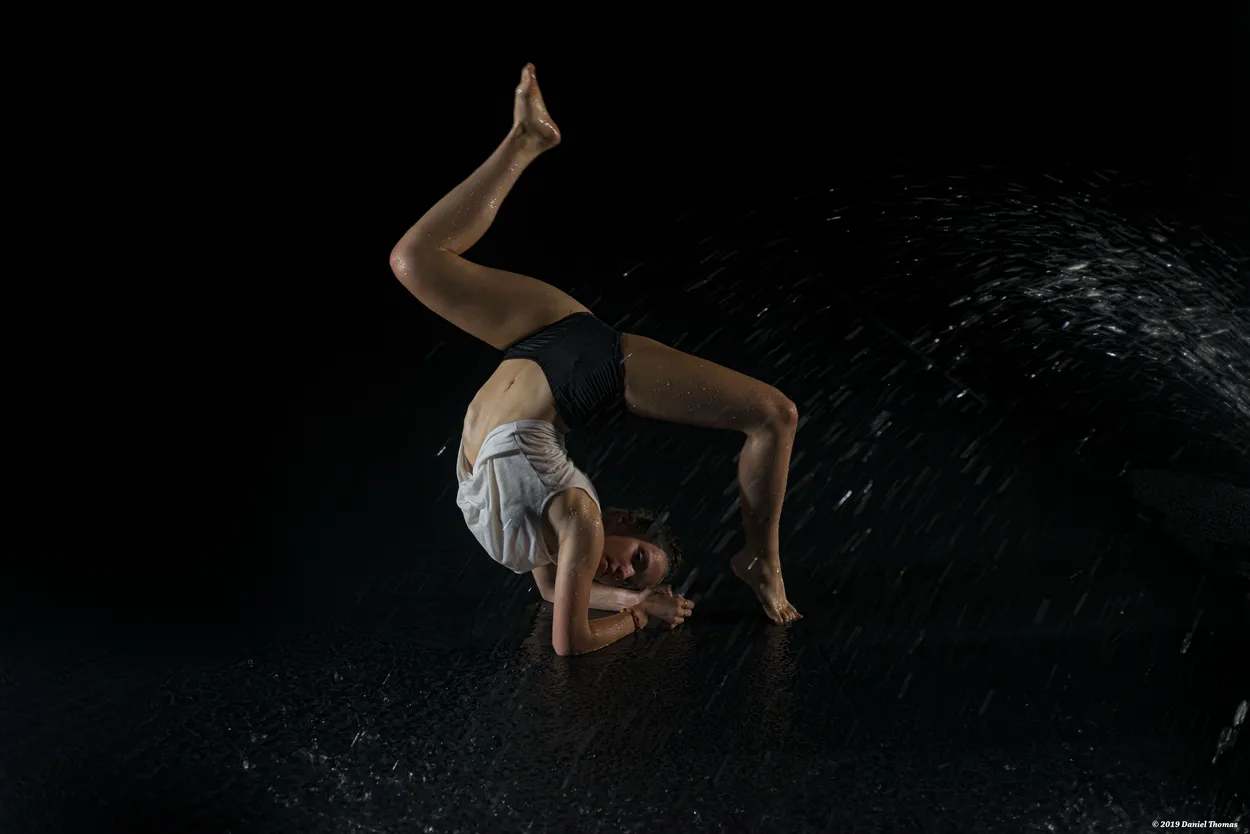 Entry 15170407