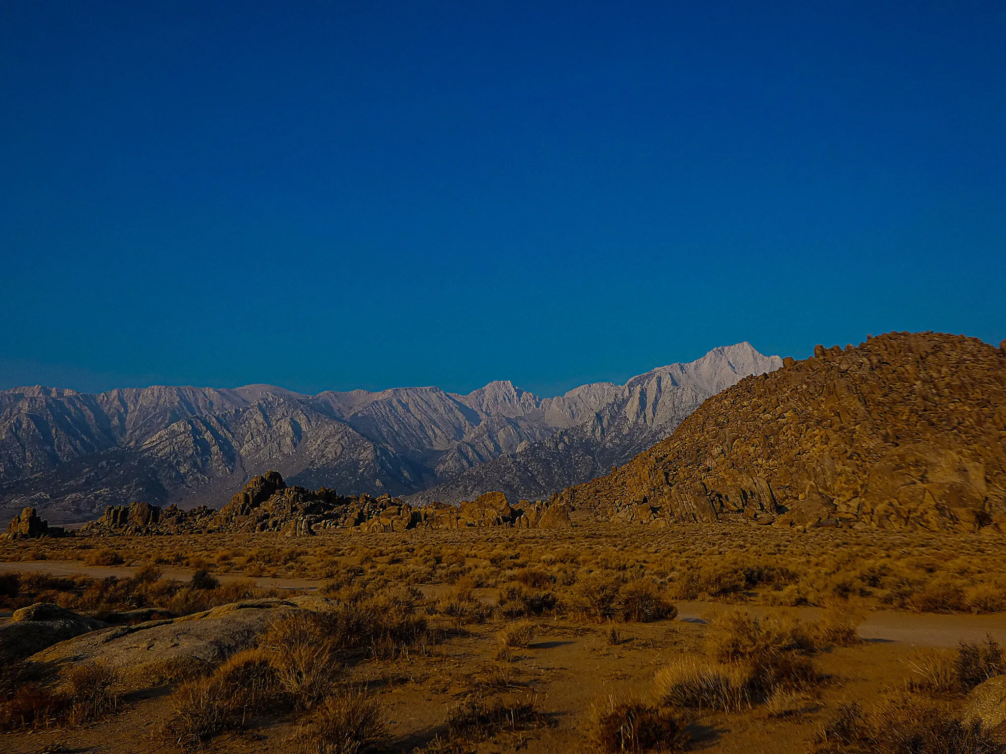 Californian Desert