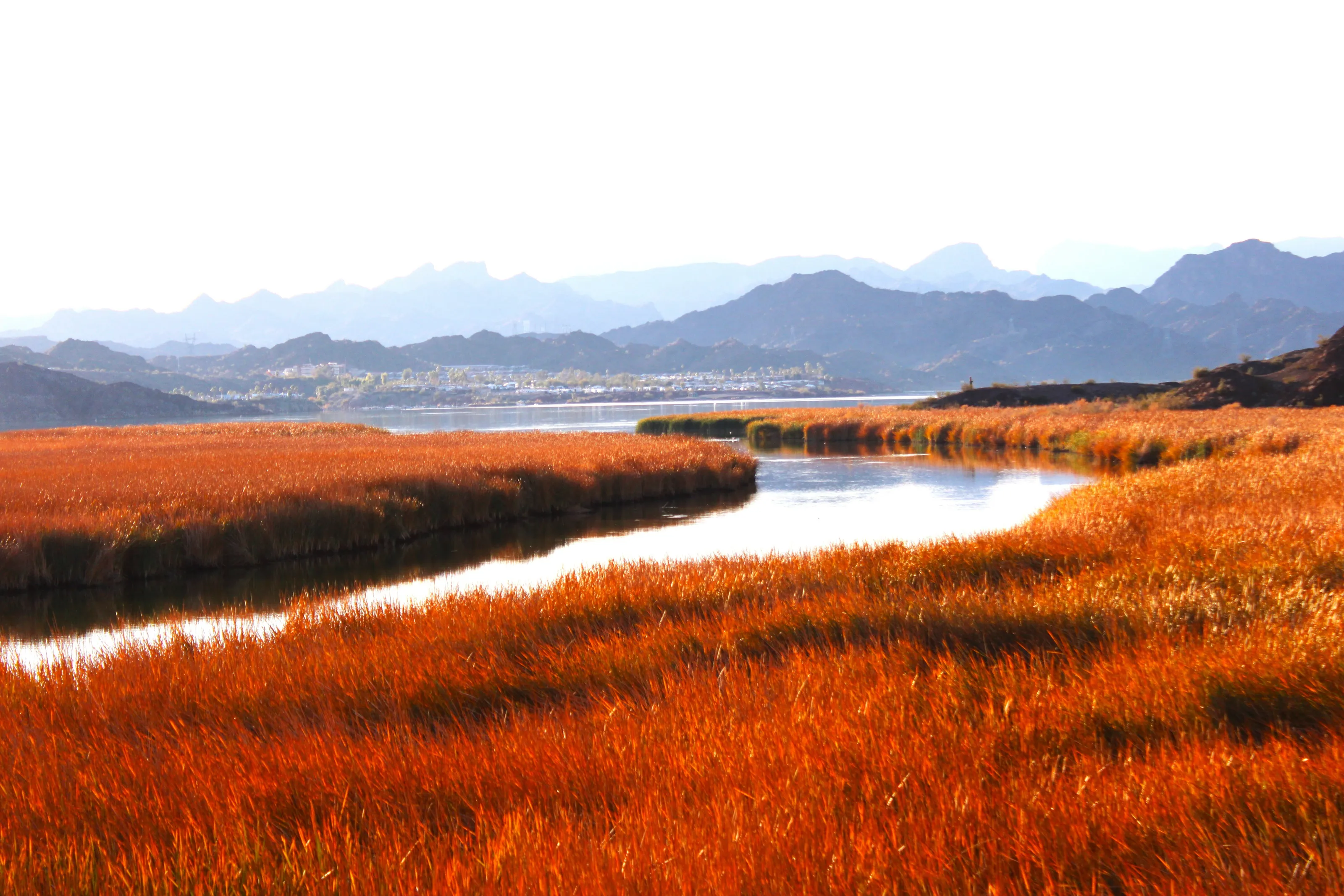 Red Lush River