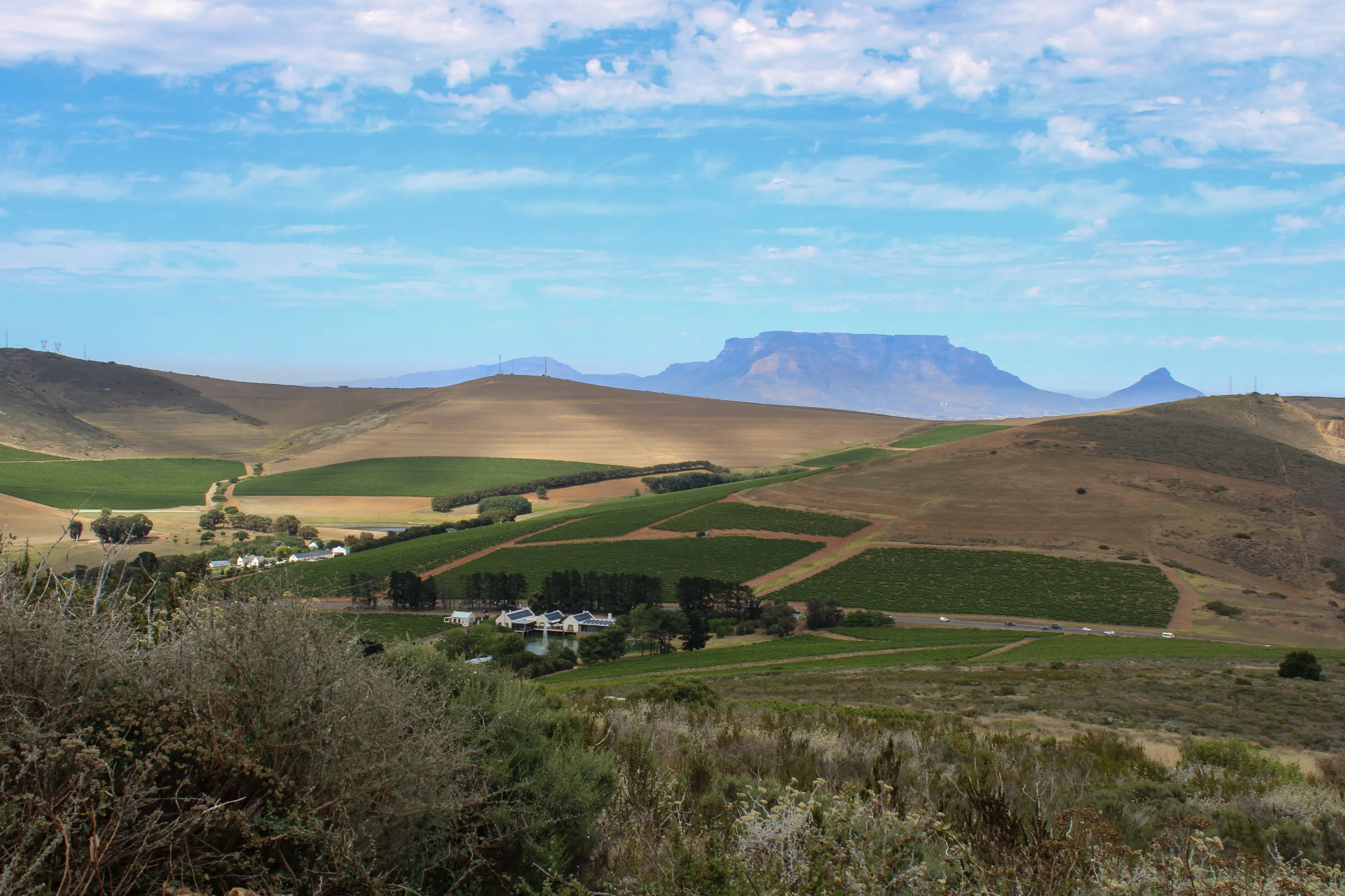 Western Cape - Landscape