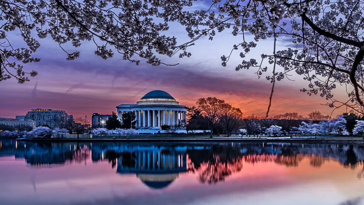 Cherry Blossom at Jefferson Memorial