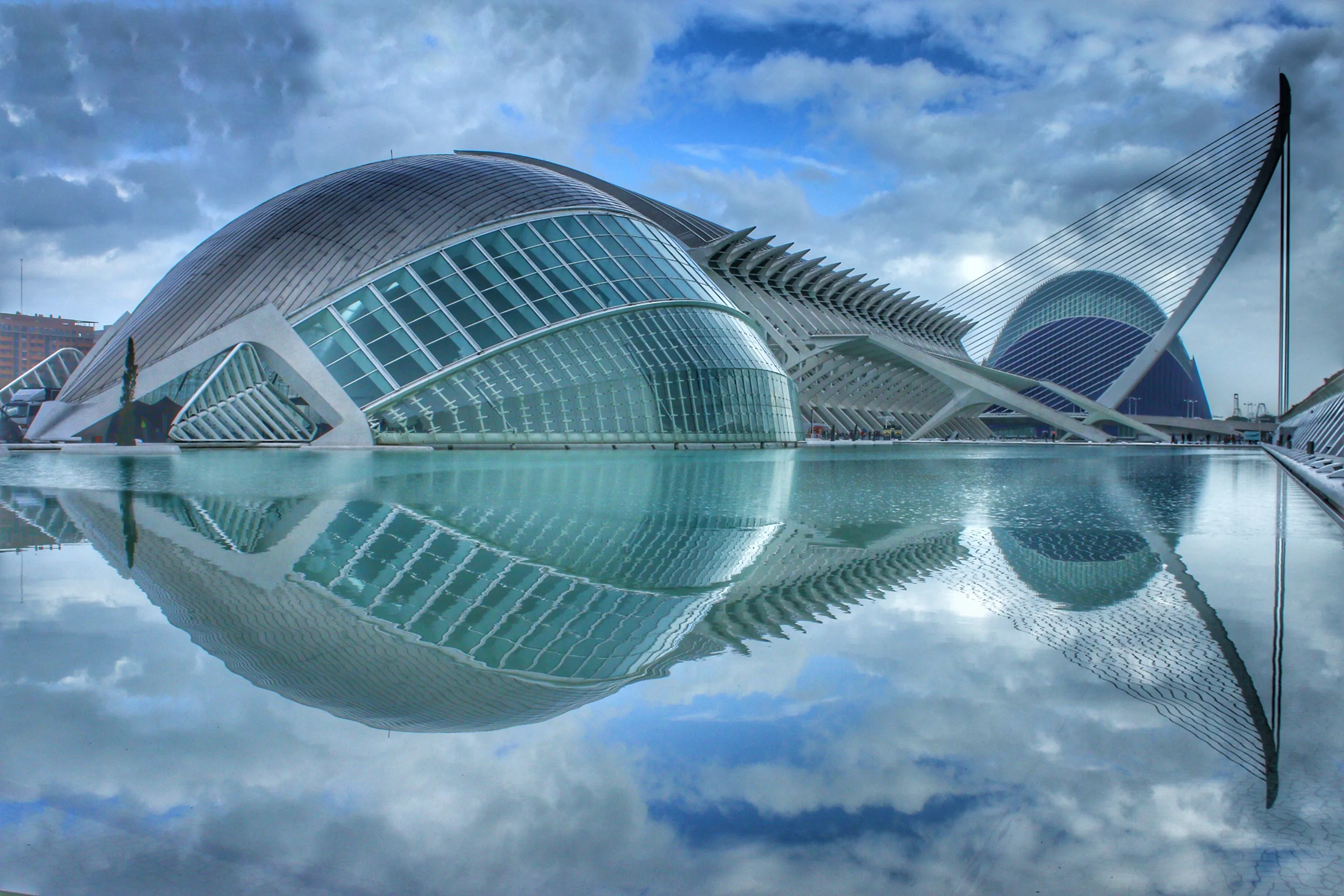 a fish or a building
