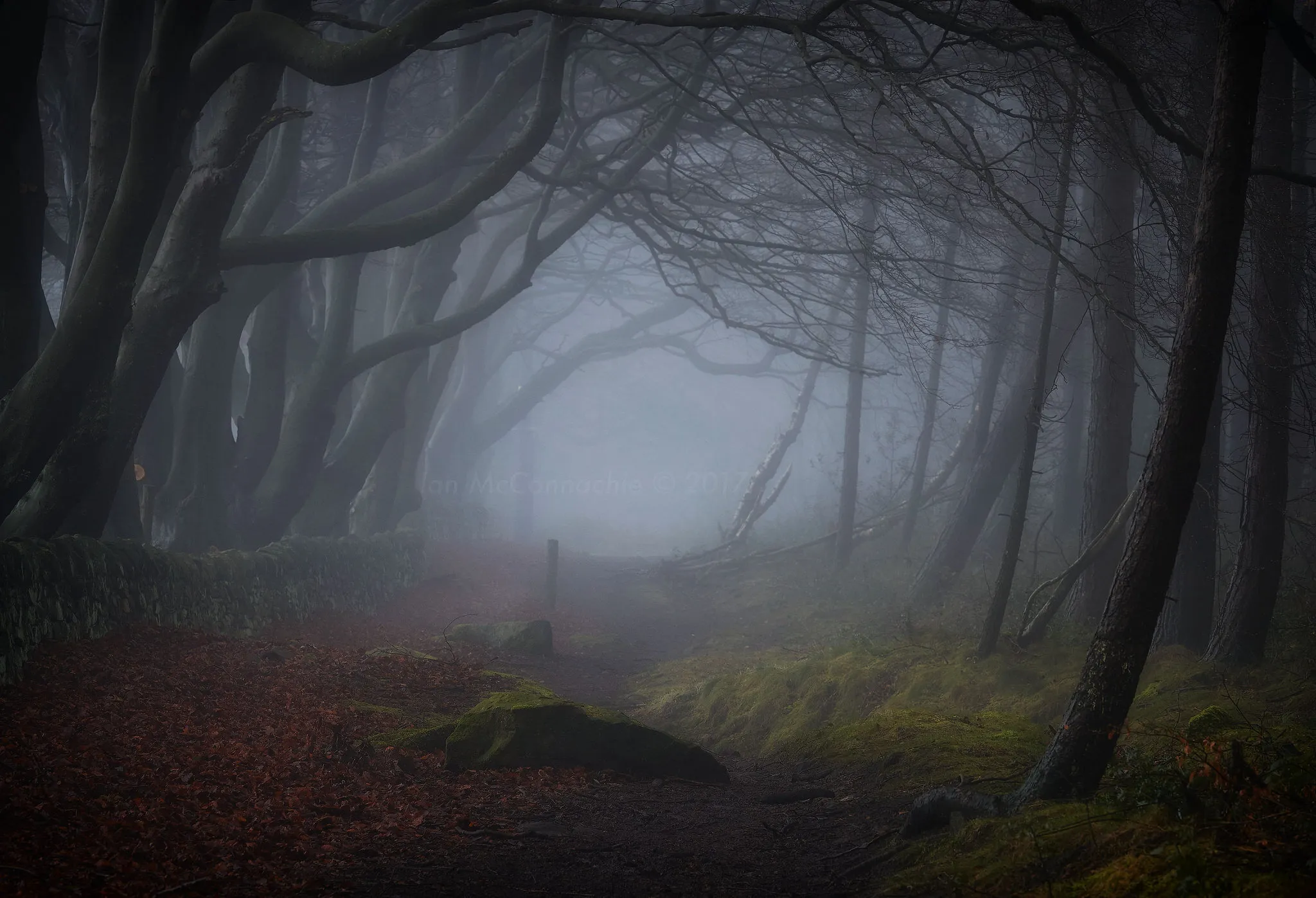 Enchanted
