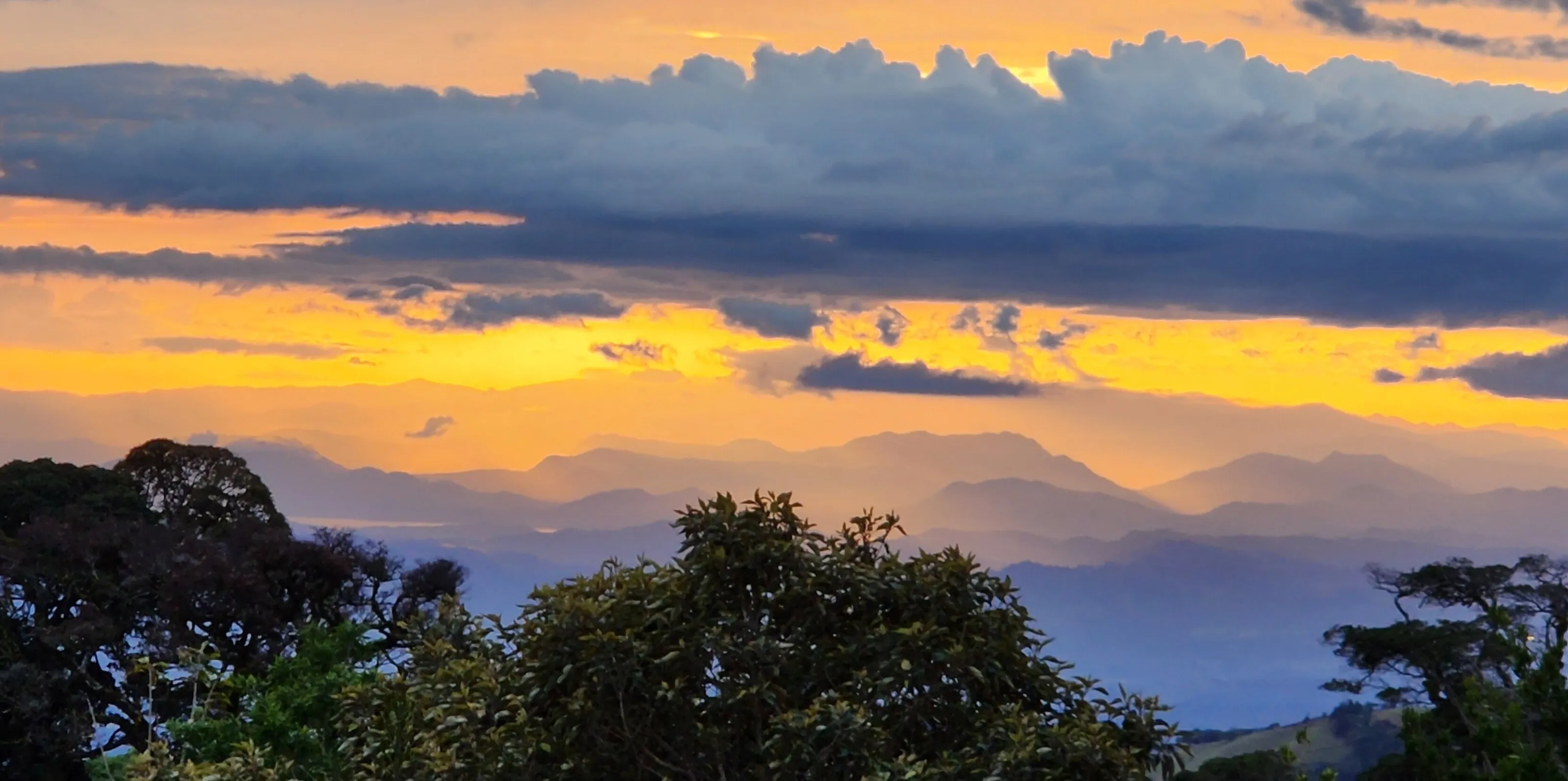 Monteverde Sunset