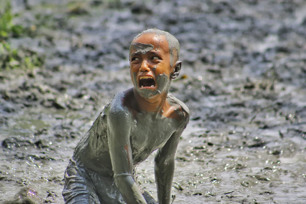 Entry 15241424