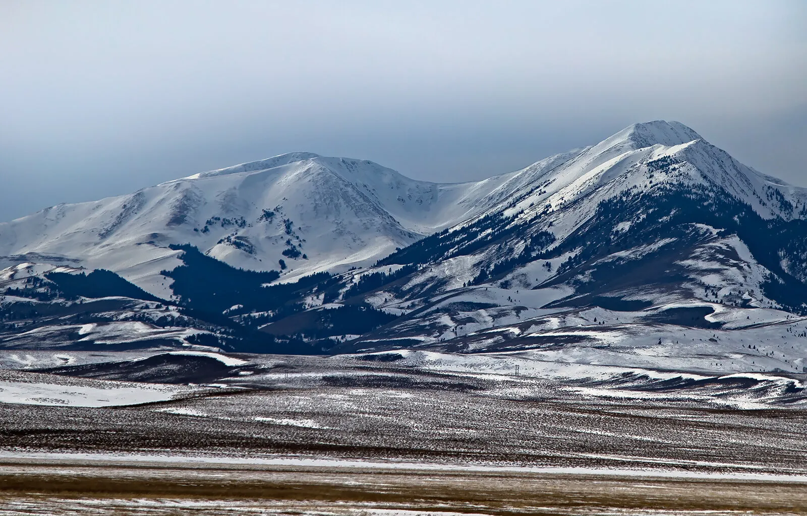 Montana