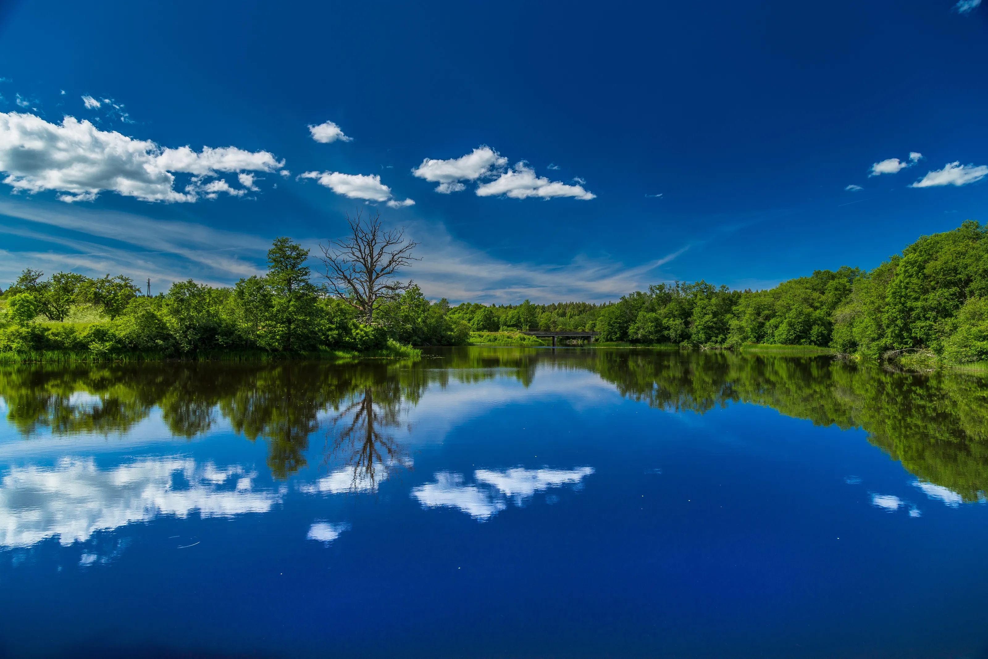 Reflecting on Nature