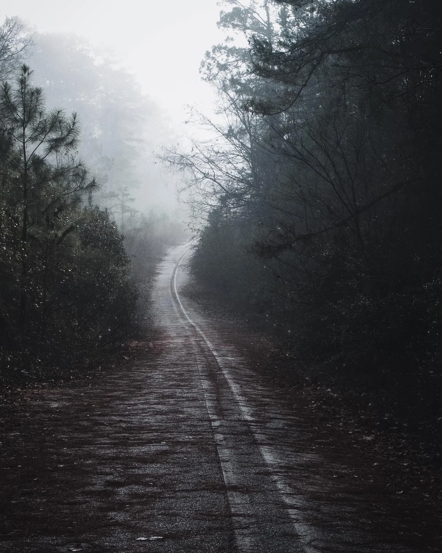 Moody Hike