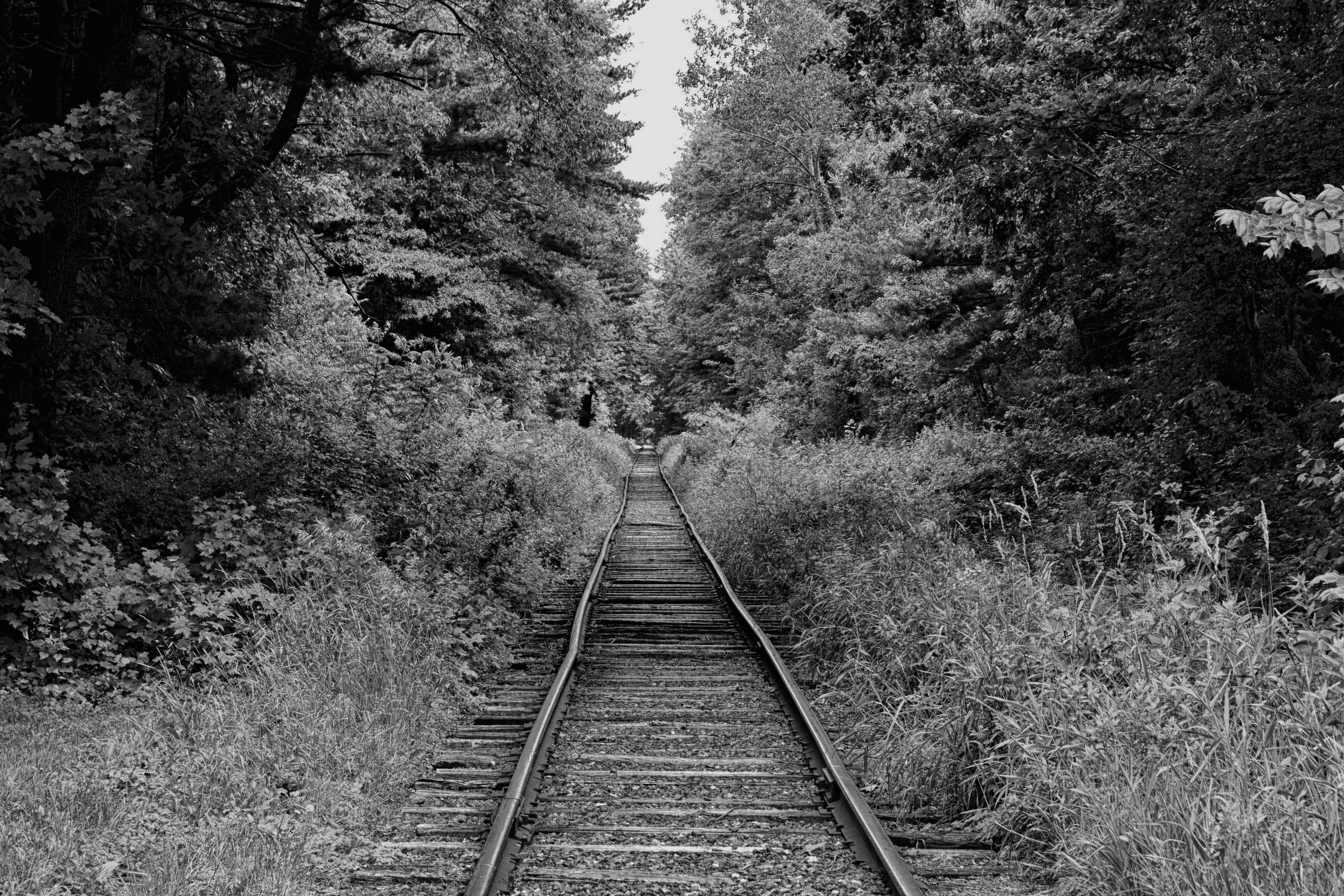 tracks