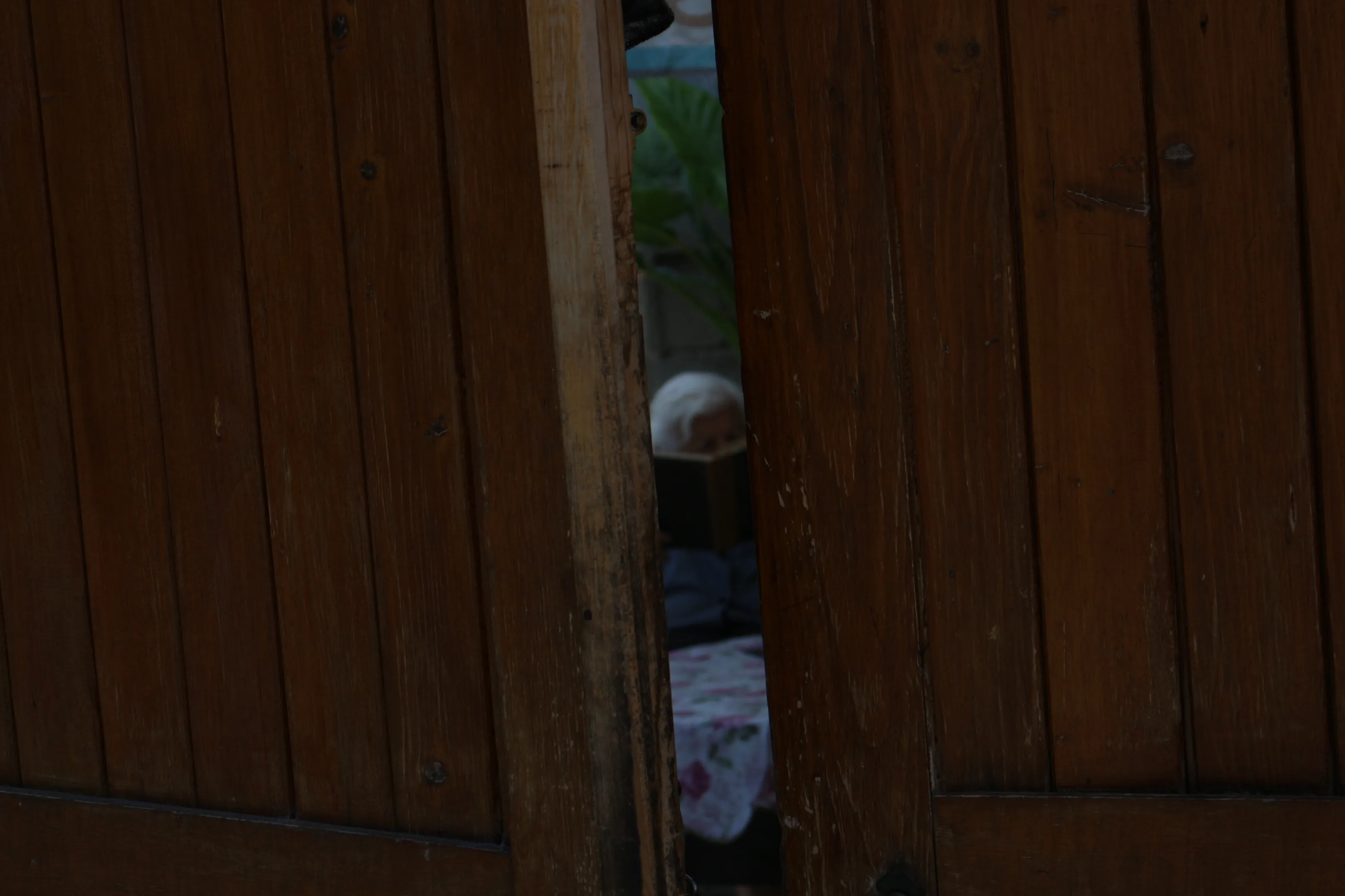 Grandmother reading a book