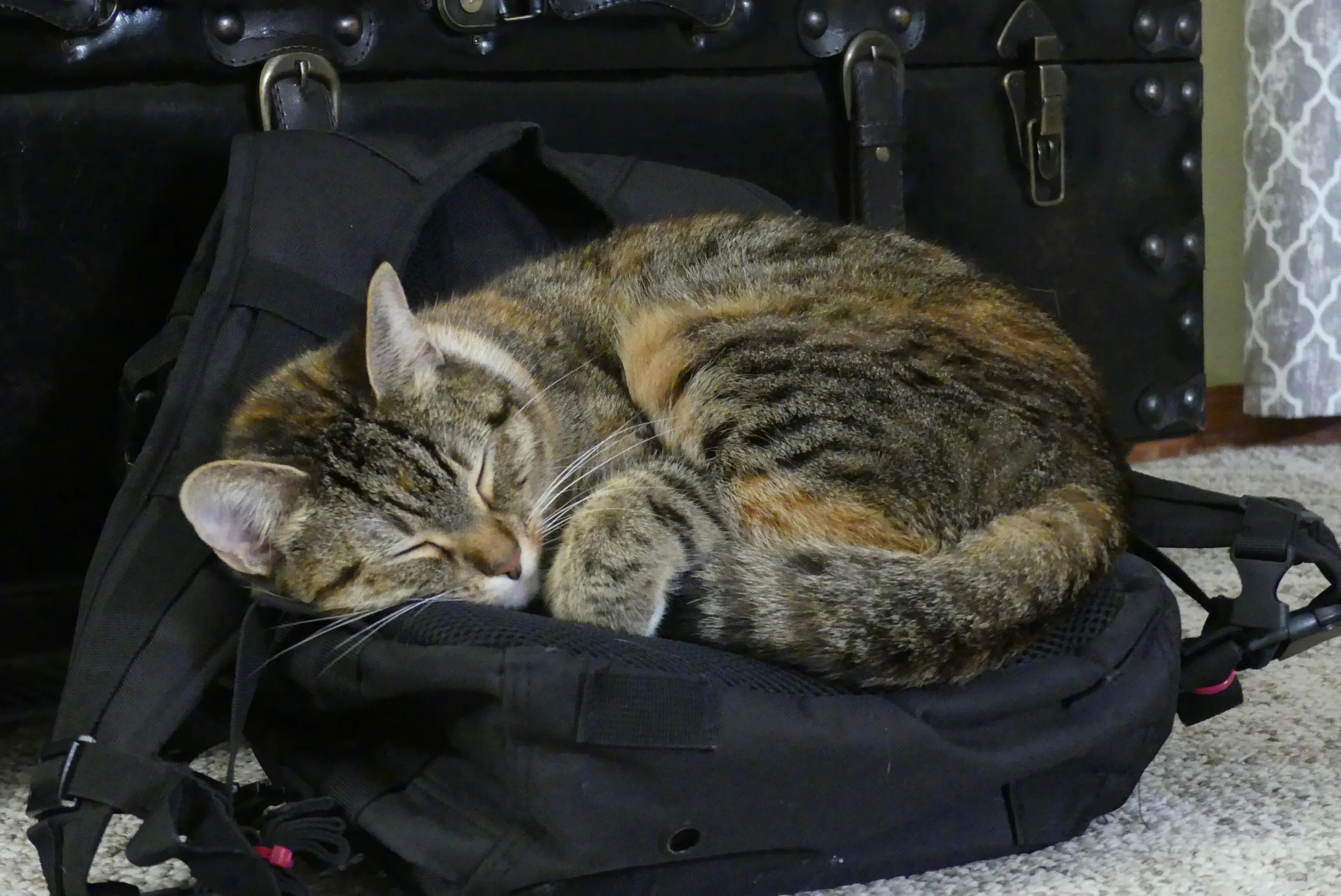 "Guess I can't do my homework now"